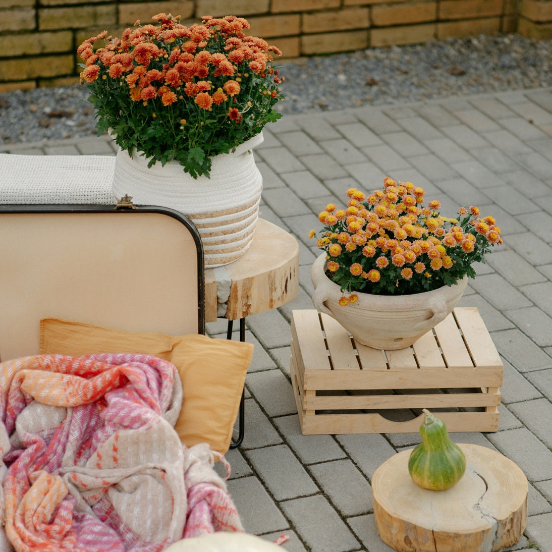 Gör din uteplats till vårens höjdpunkt - 2025