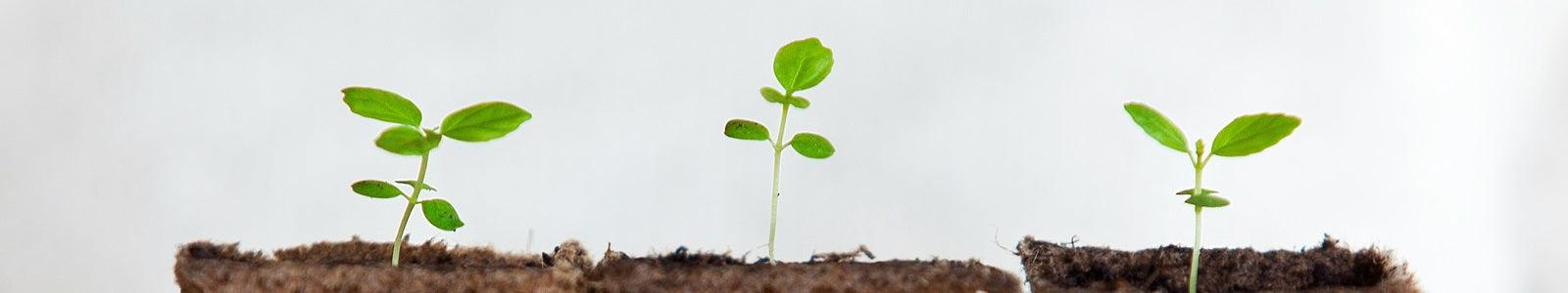 Krukor & odlingslådor - Hemboden