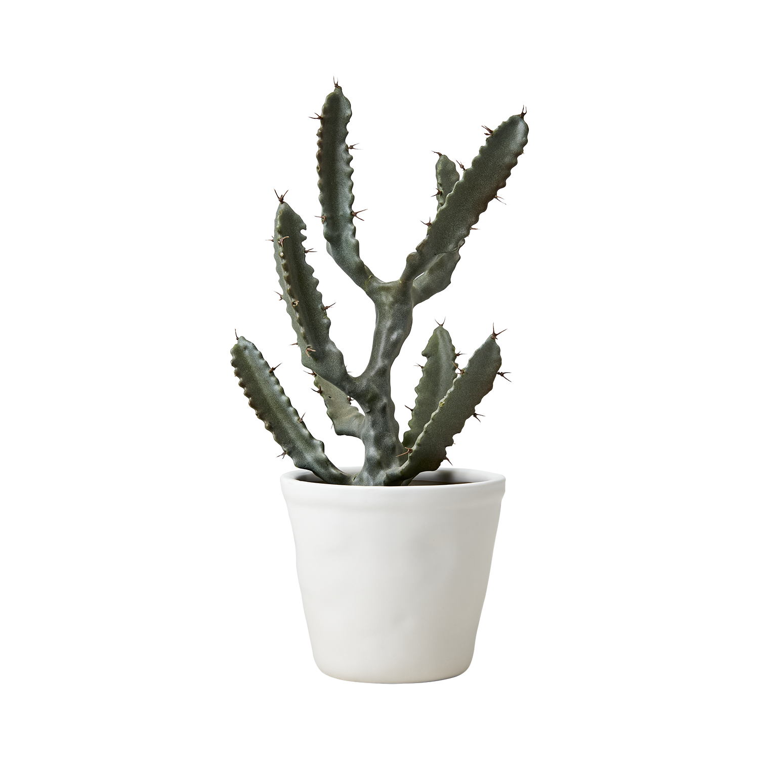 COCOS Kruka S, Vit Affari of Sweden