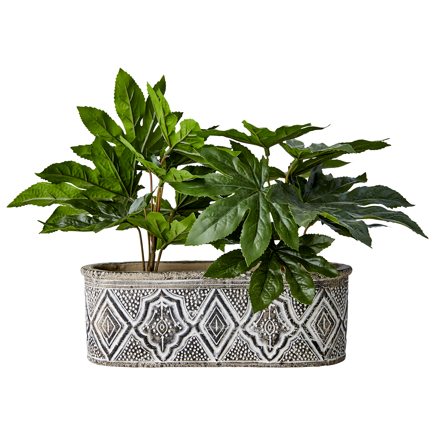 CAMILLE Kruka, Brun Affari of Sweden