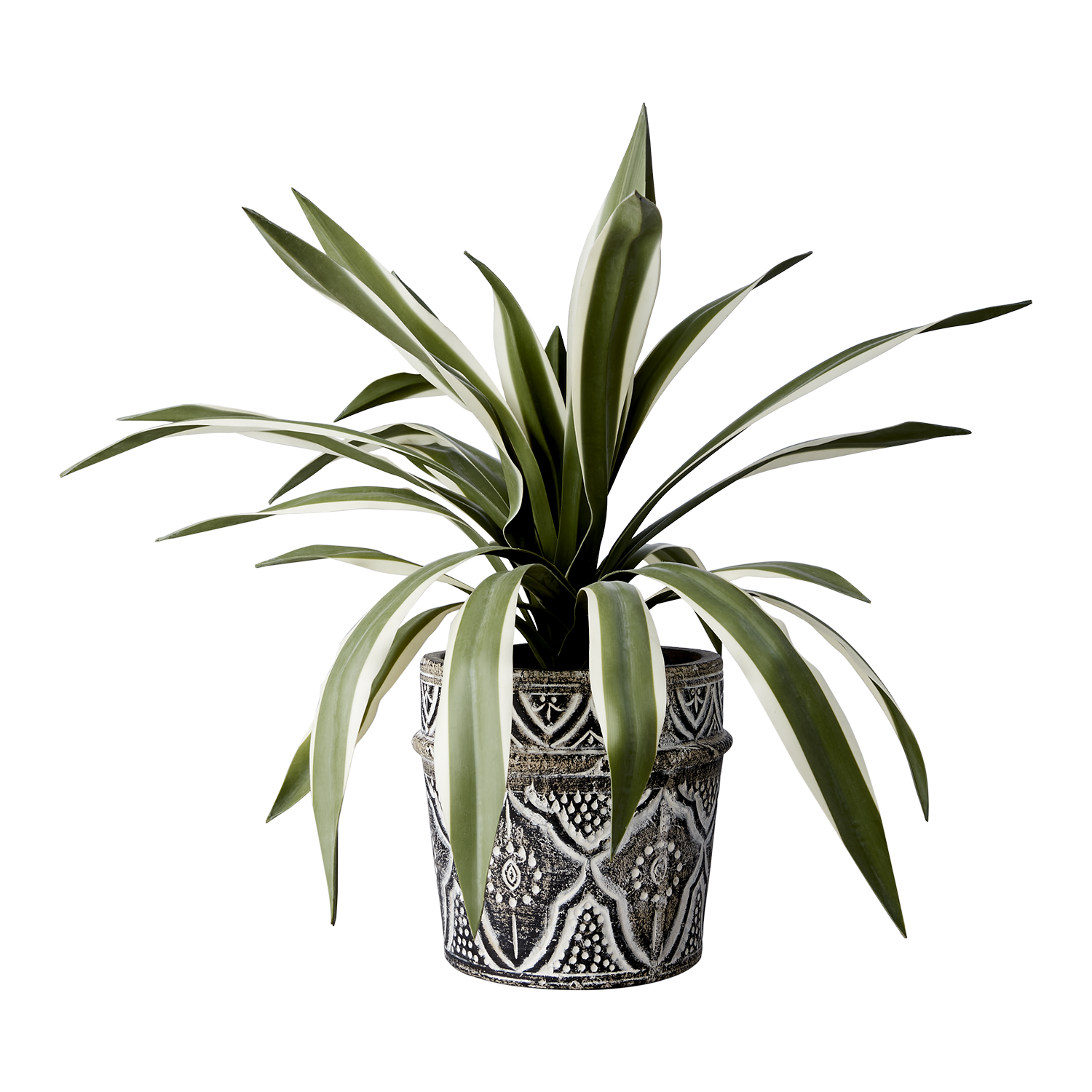 CAMILLE Kruka, Brun Affari of Sweden