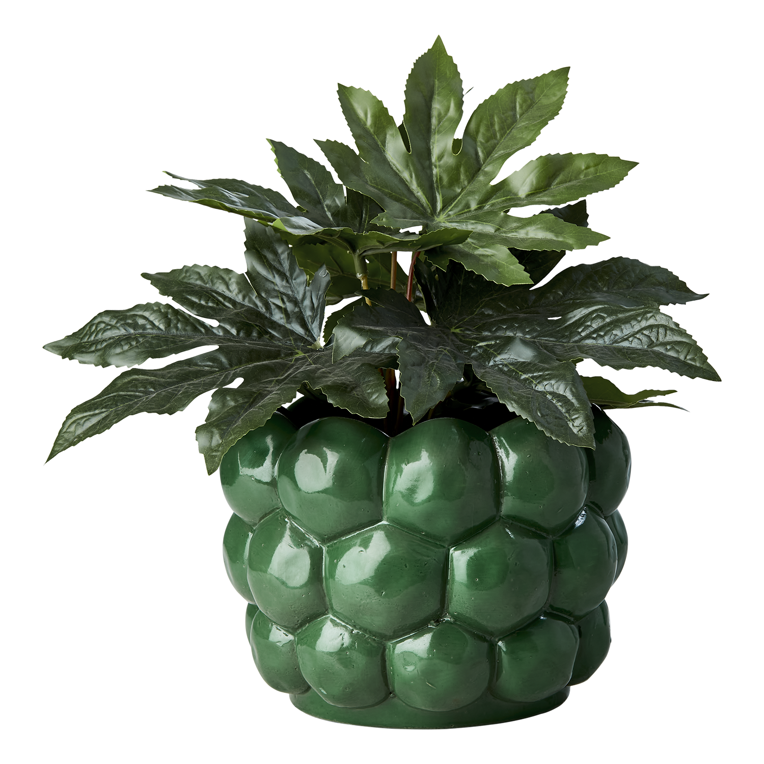 ADA Kruka, Grön Affari of Sweden