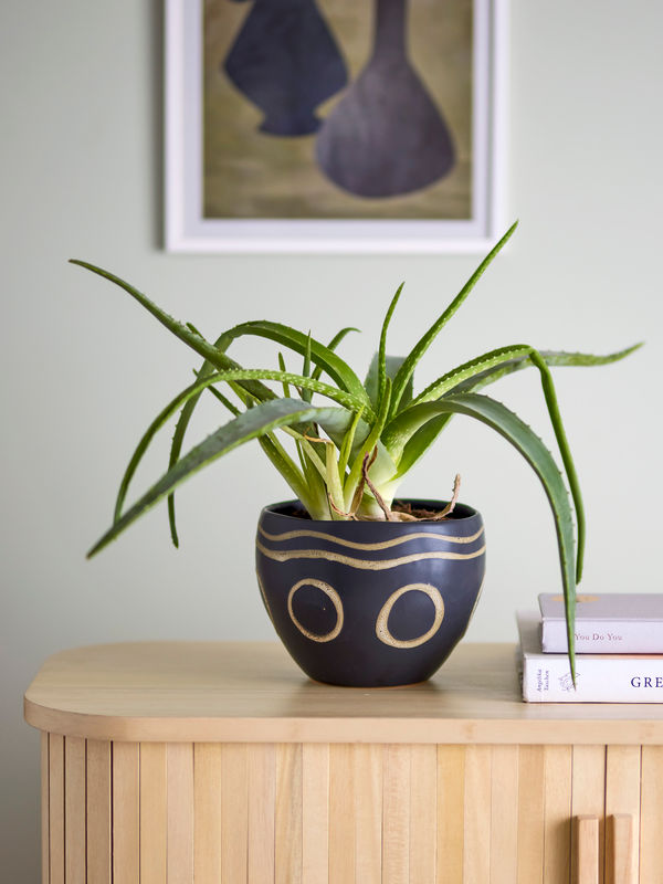 Magnus - Blomkruka Bloomingville