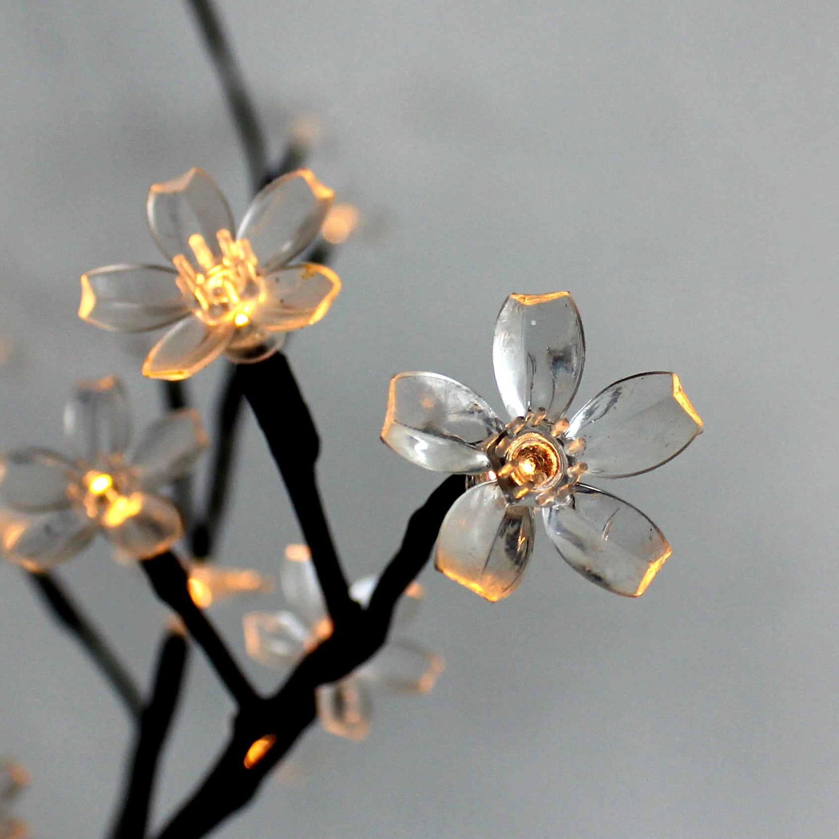 Bloom Dekorativ belysning LightsOn Garden Plug & Play