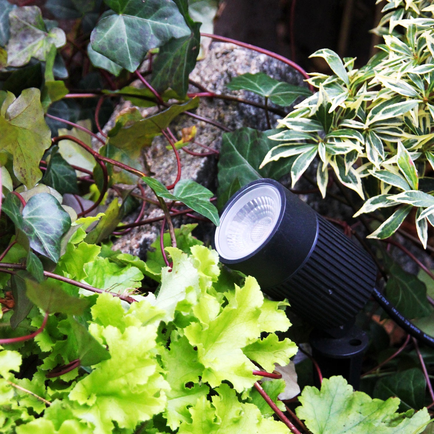 Medusa Markspottar LightsOn Garden Plug & Play