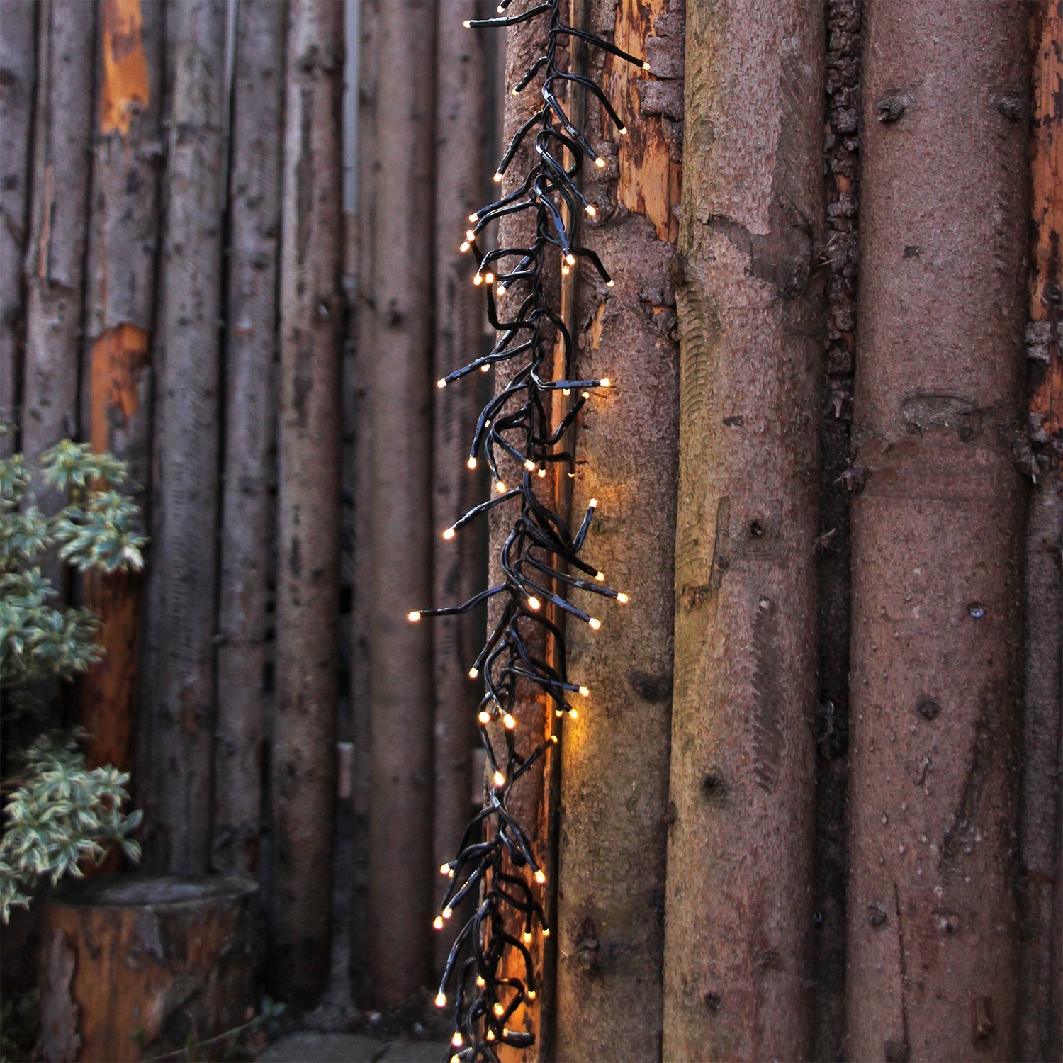 Bliss Dekorativ belysning LightsOn Garden Plug & Play