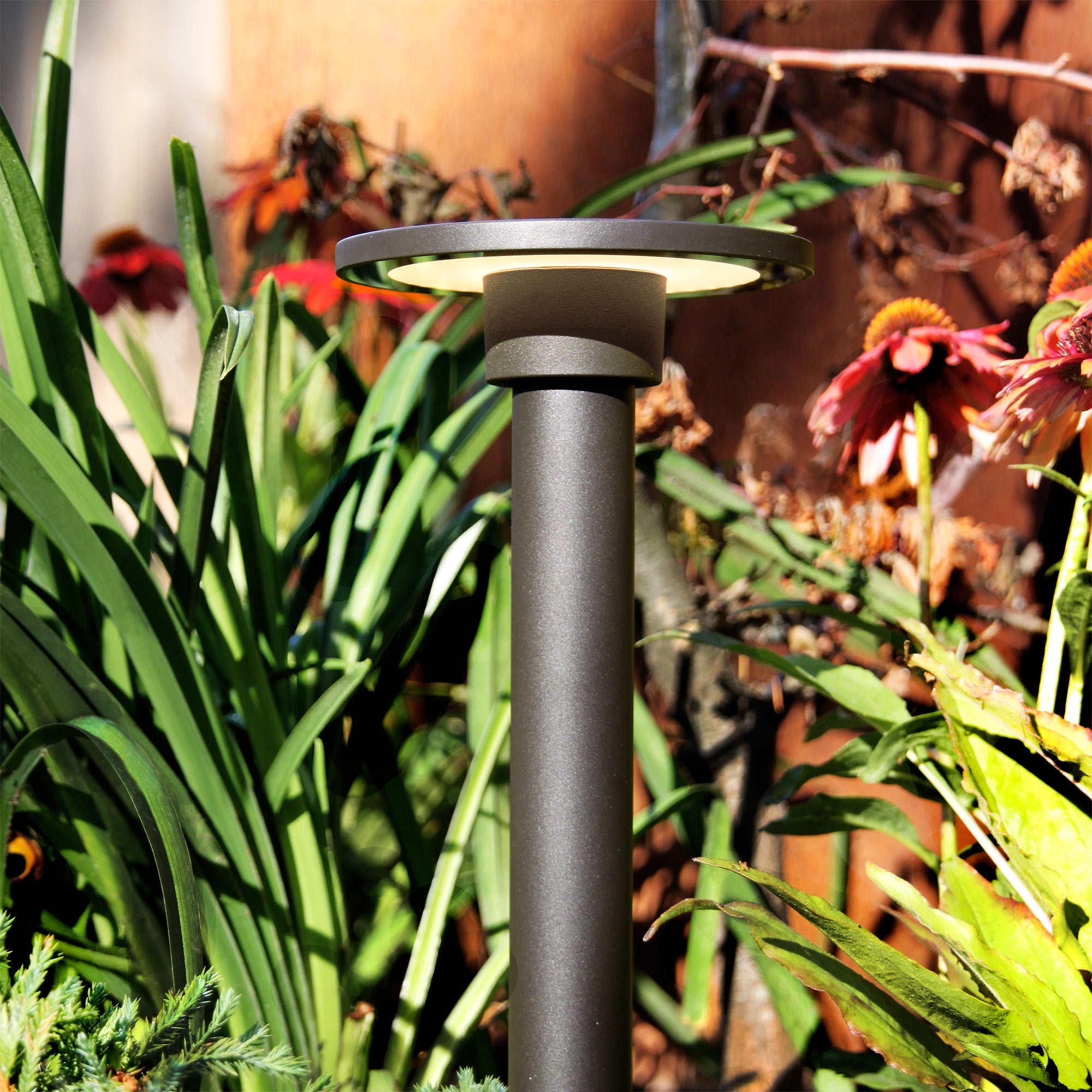 Orbit Pollare LightsOn Garden Plug & Play