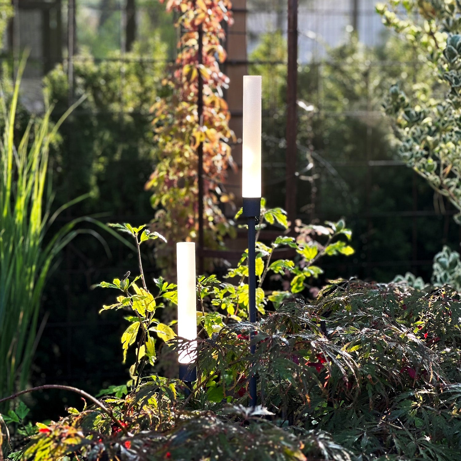 Frost Pollare LightsOn Garden Plug & Play