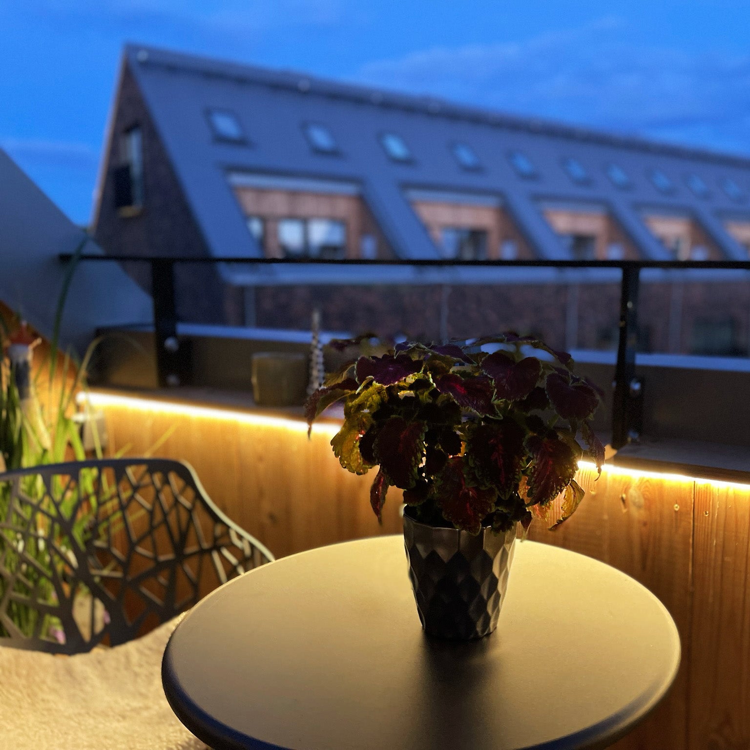 Strip (5m) Dekorativ belysning LightsOn Garden Plug & Play