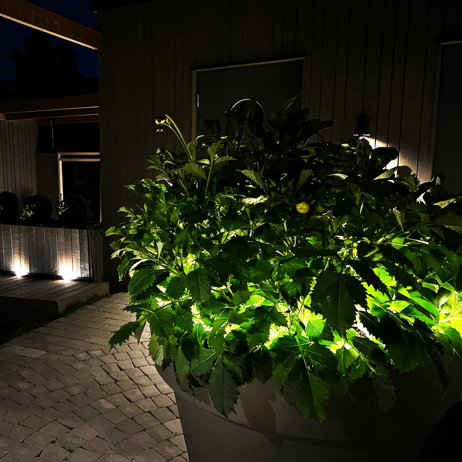 Strip (5m) Dekorativ belysning LightsOn Garden Plug & Play