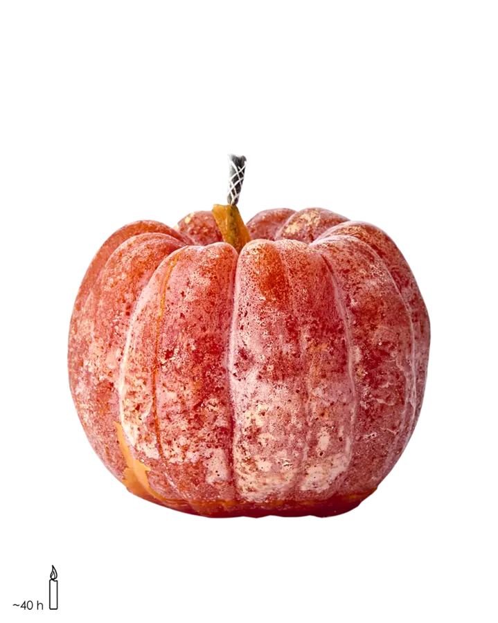 EVENT Uteljus pumpa diameter 12,5 × 11 cm – Mörkorange från Affari of Sweden