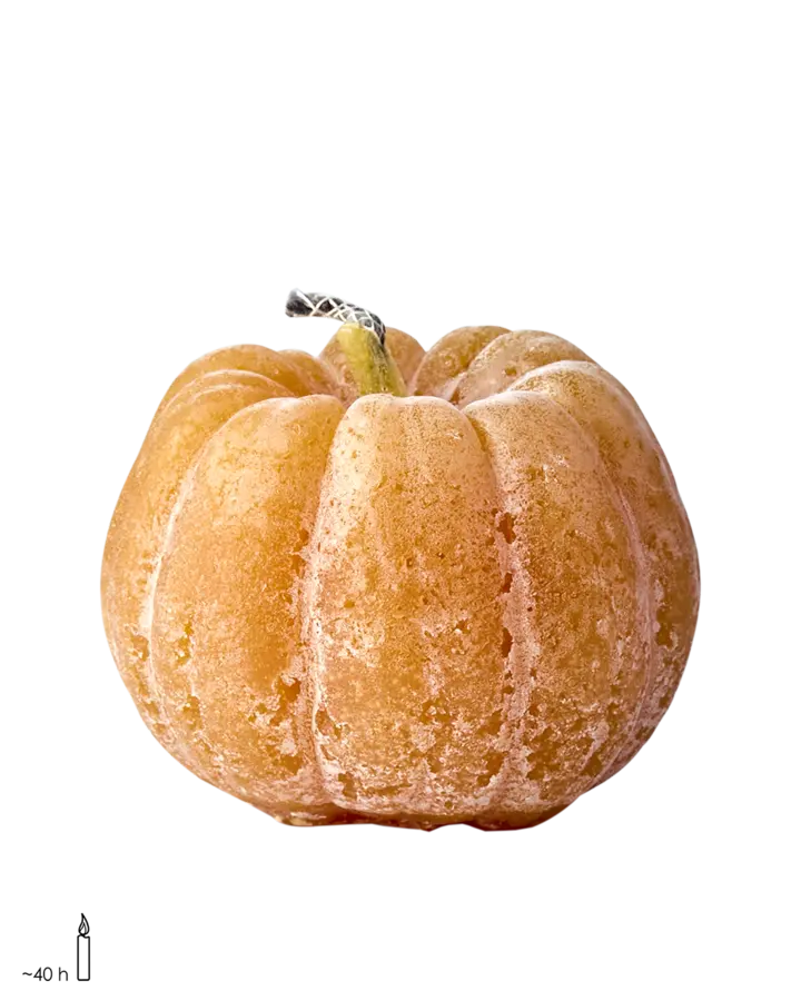 EVENT Uteljus pumpa diameter 12,5 × 11 cm – Ocra från Affari of Sweden