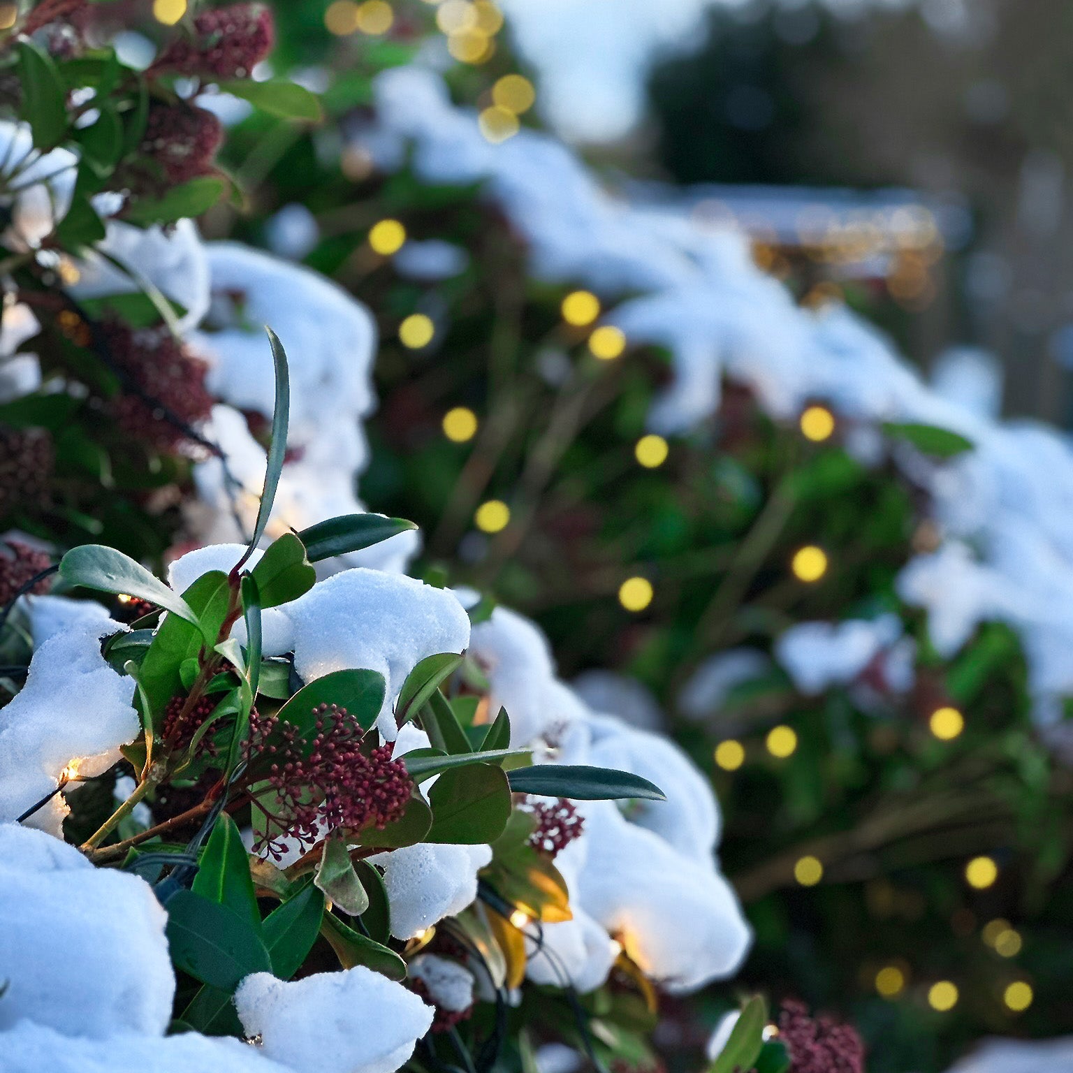 Net Dekorativ belysning LightsOn Garden Plug & Play