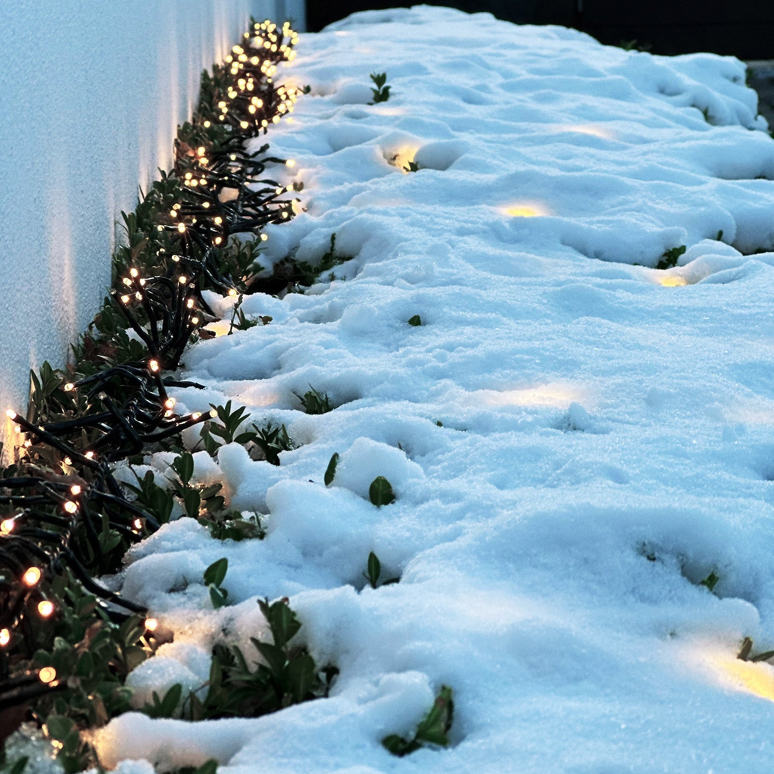 Bliss Dekorativ belysning LightsOn Garden Plug & Play