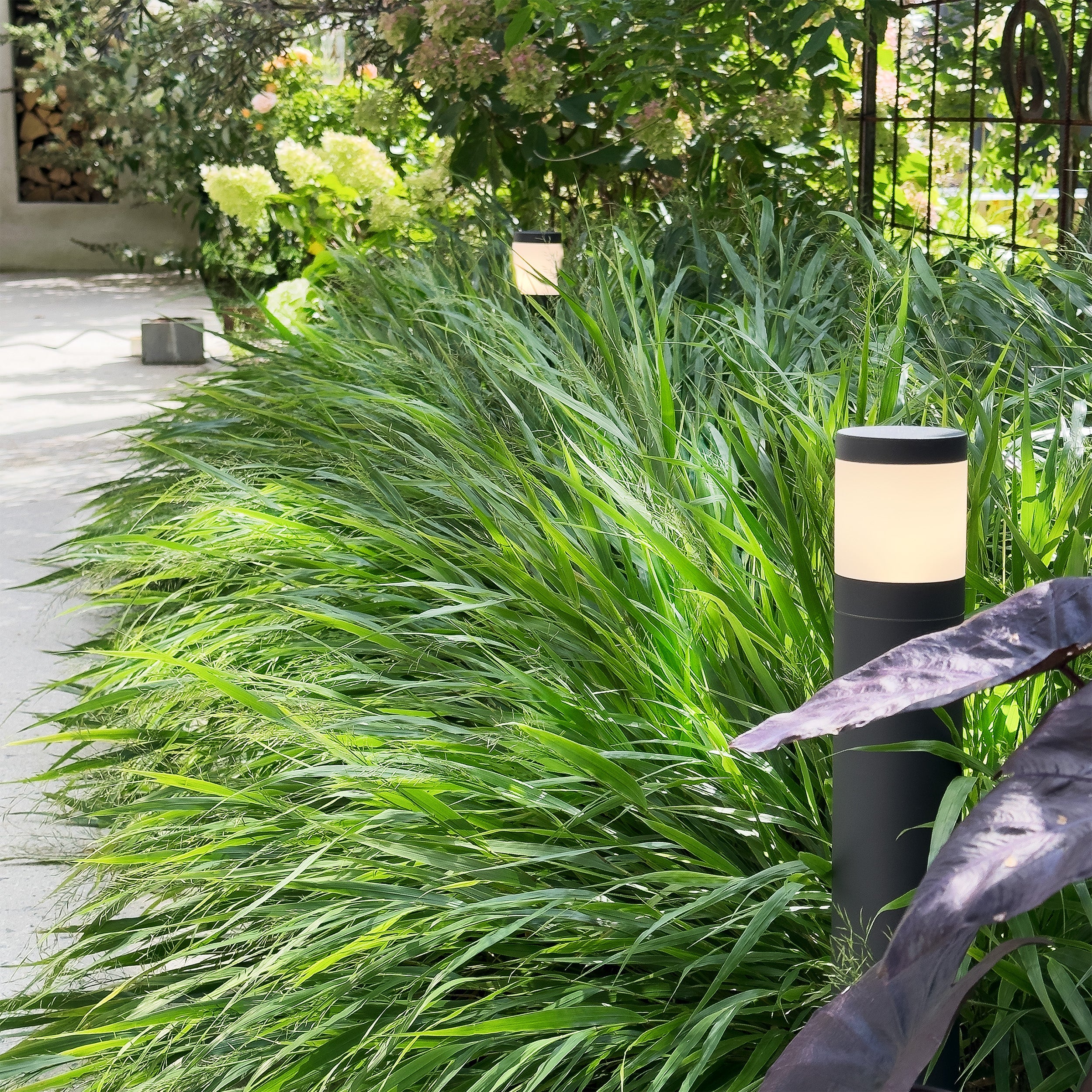 Polly Pollare LightsOn Garden Plug & Play