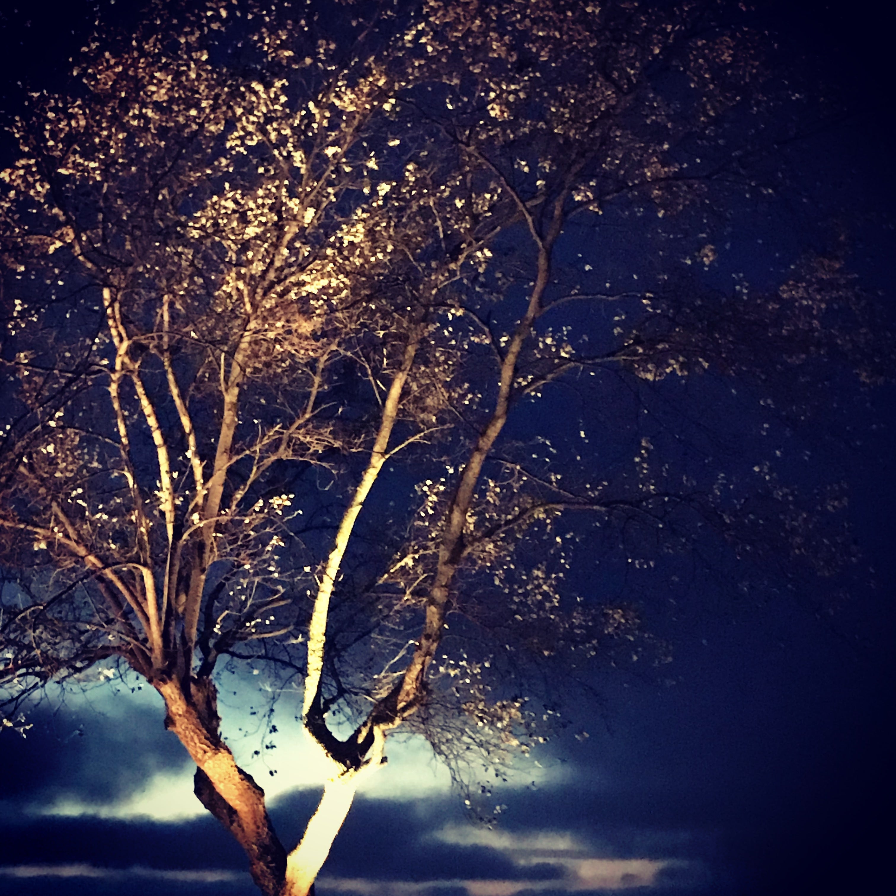 Cosmo Markspottar LightsOn Garden Plug & Play