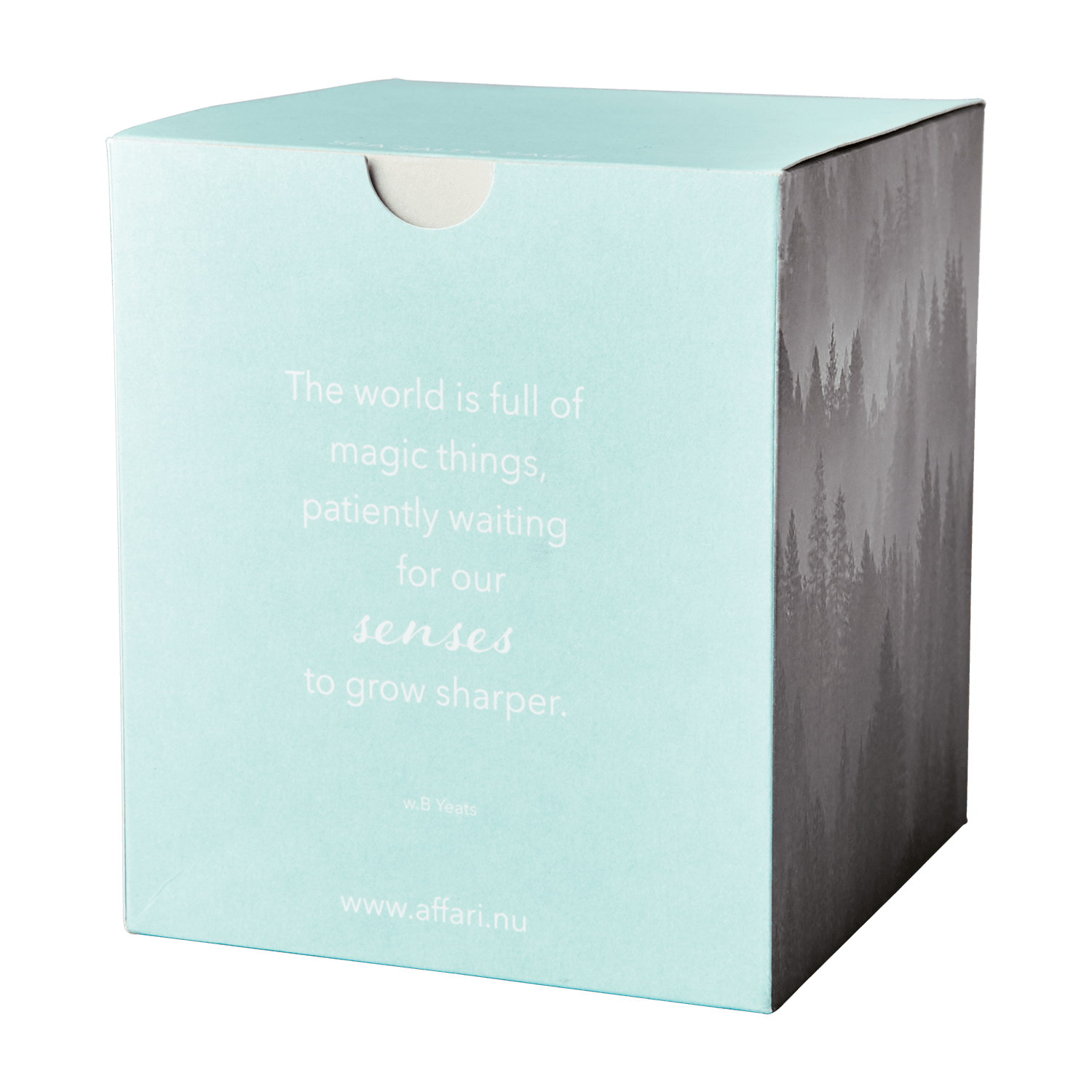 SENSE Doftljus Sea salt & sage, Turkos Doftljus Affari of Sweden