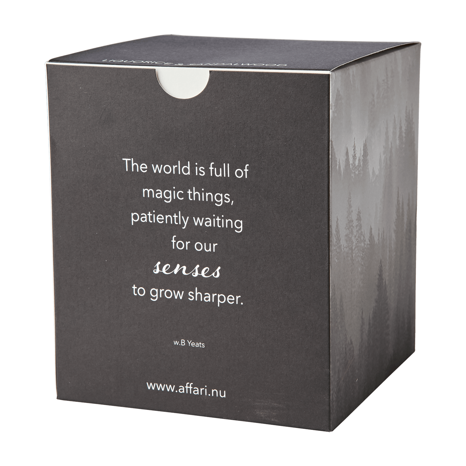 SENSE Doftljus Liquorice & sandalwood, Svart (i lager v.23) Doftljus Affari of Sweden