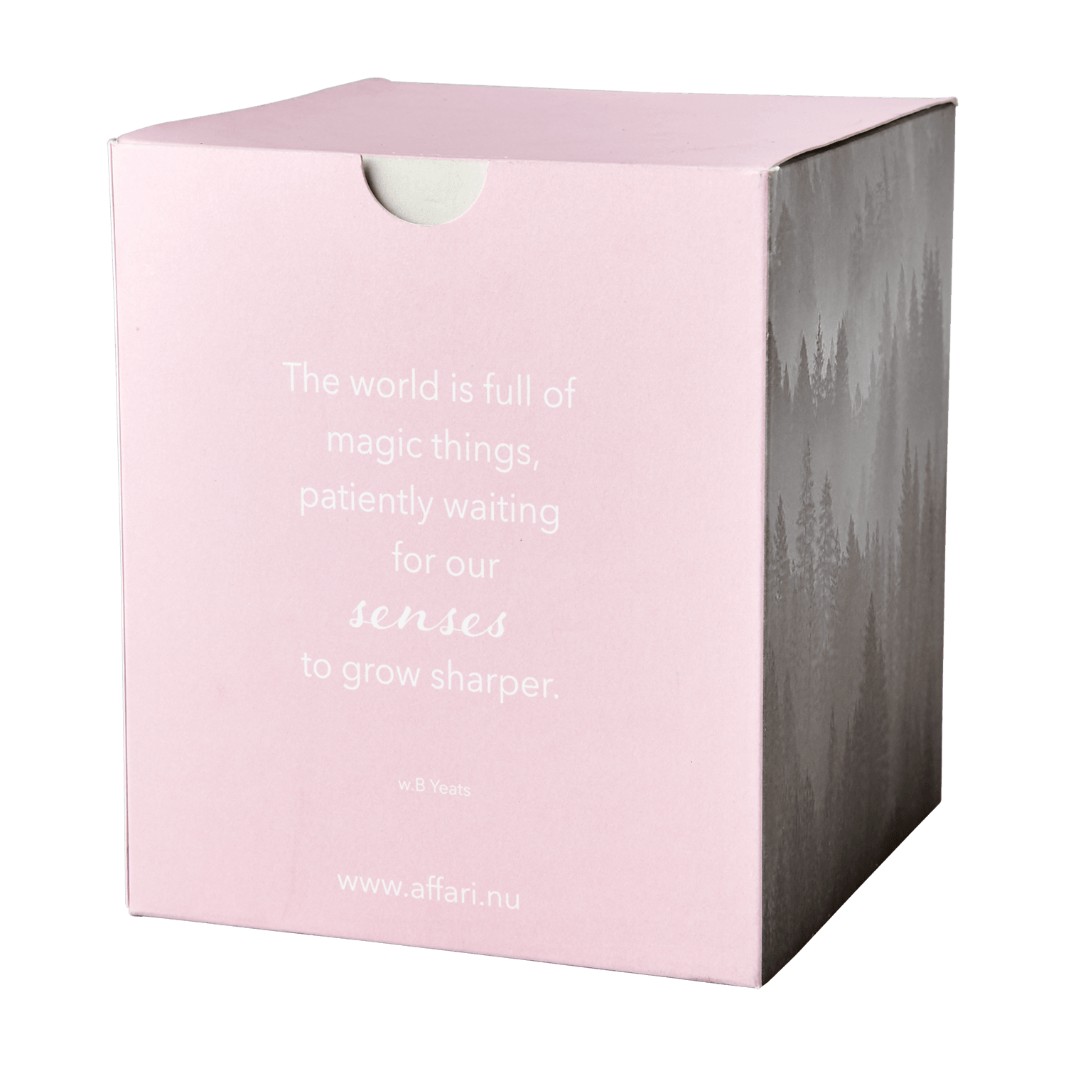 SENSE Doftljus Vanilla, Ljusrosa Doftljus Affari of Sweden