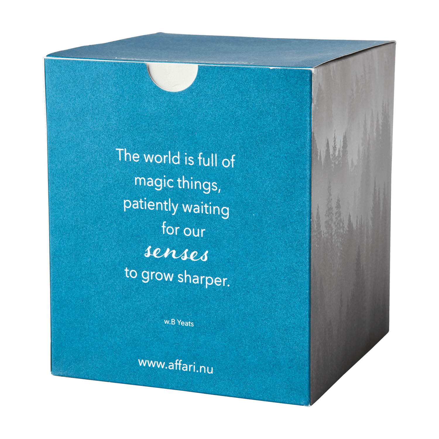 SENSE Doftljus Verbena & patchouli, Blå Doftljus Affari of Sweden