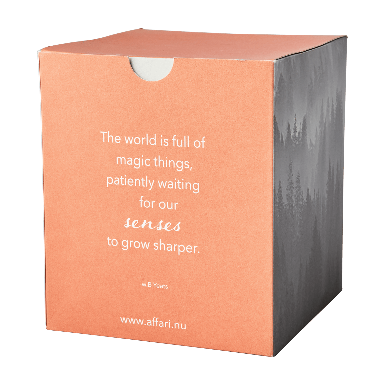 SENSE Doftljus Blood orange, Orange Doftljus Affari of Sweden