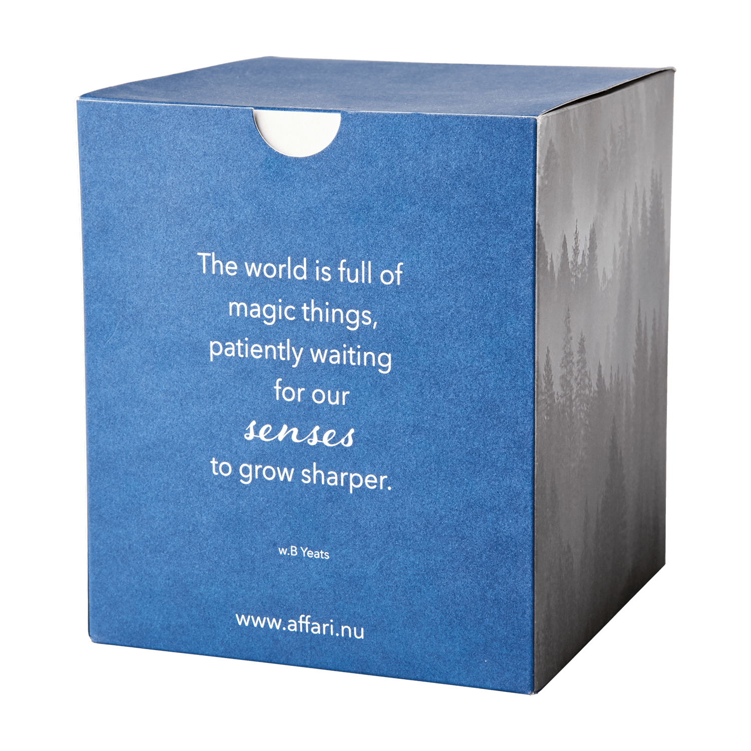 SENSE Doftljus Suit & tie, Mörkblå Doftljus Affari of Sweden