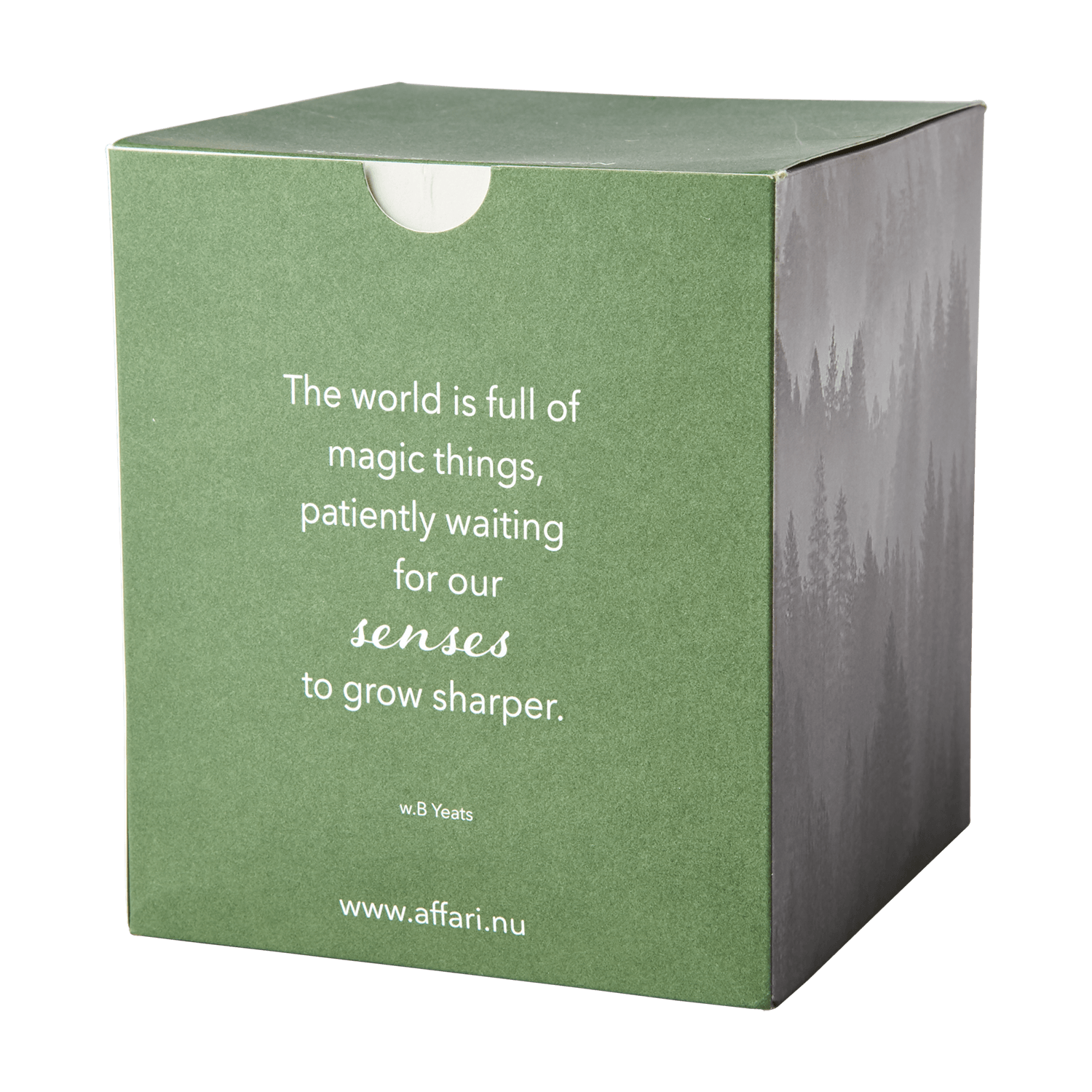 SENSE Doftljus Suede & evergreen, Grön (i lager v.26) Doftljus Affari of Sweden