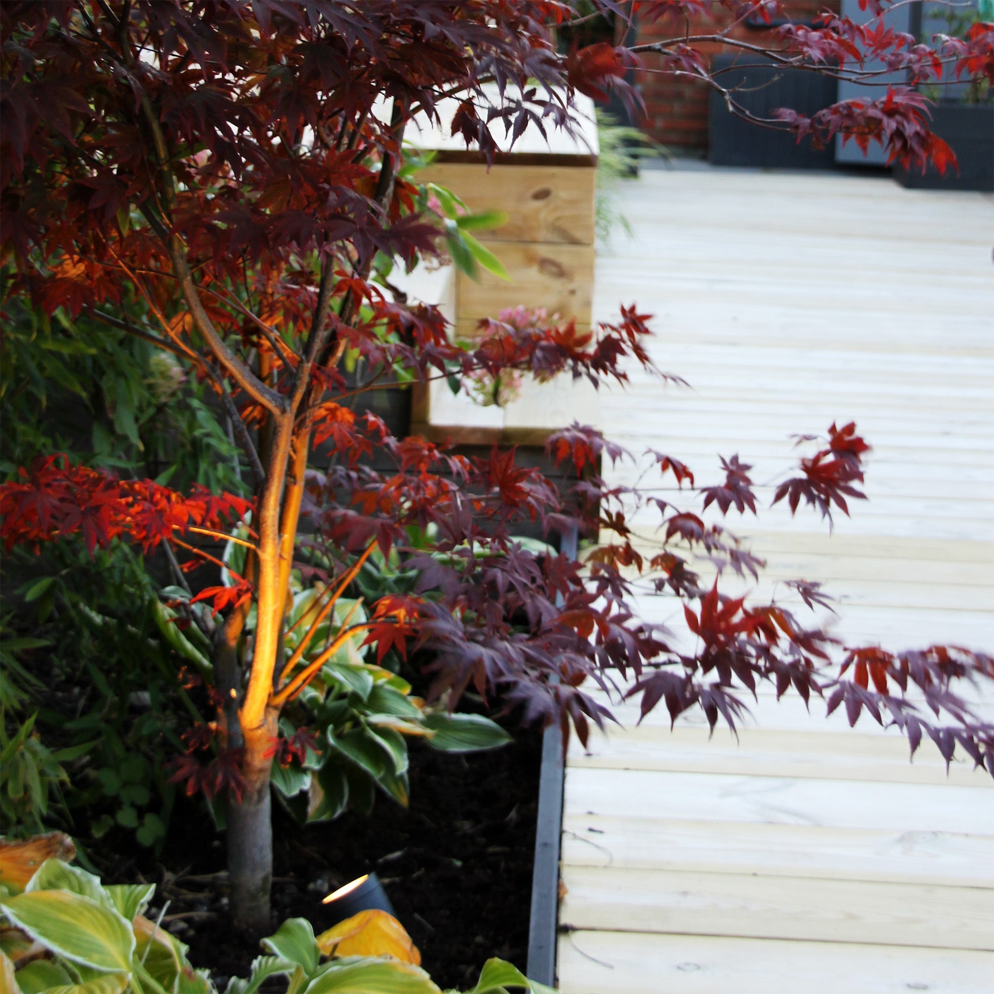 Luna Start (mörkgrå) Markspottar LightsOn Garden Plug & Play