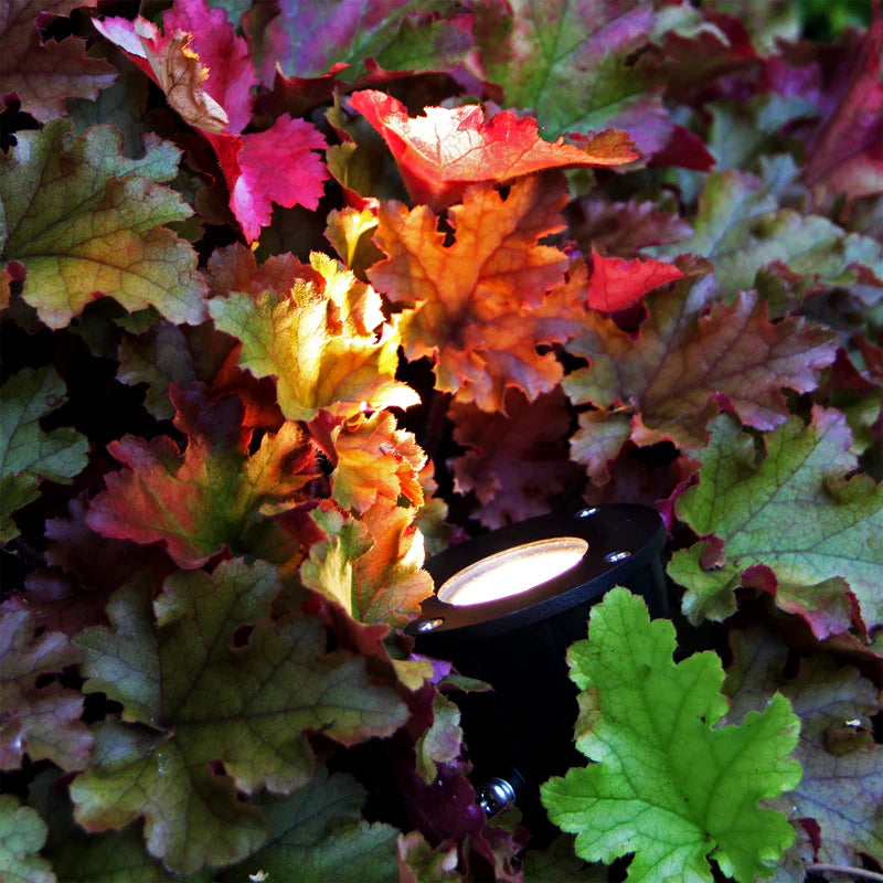 Luminus LightsOn Garden Plug & Play