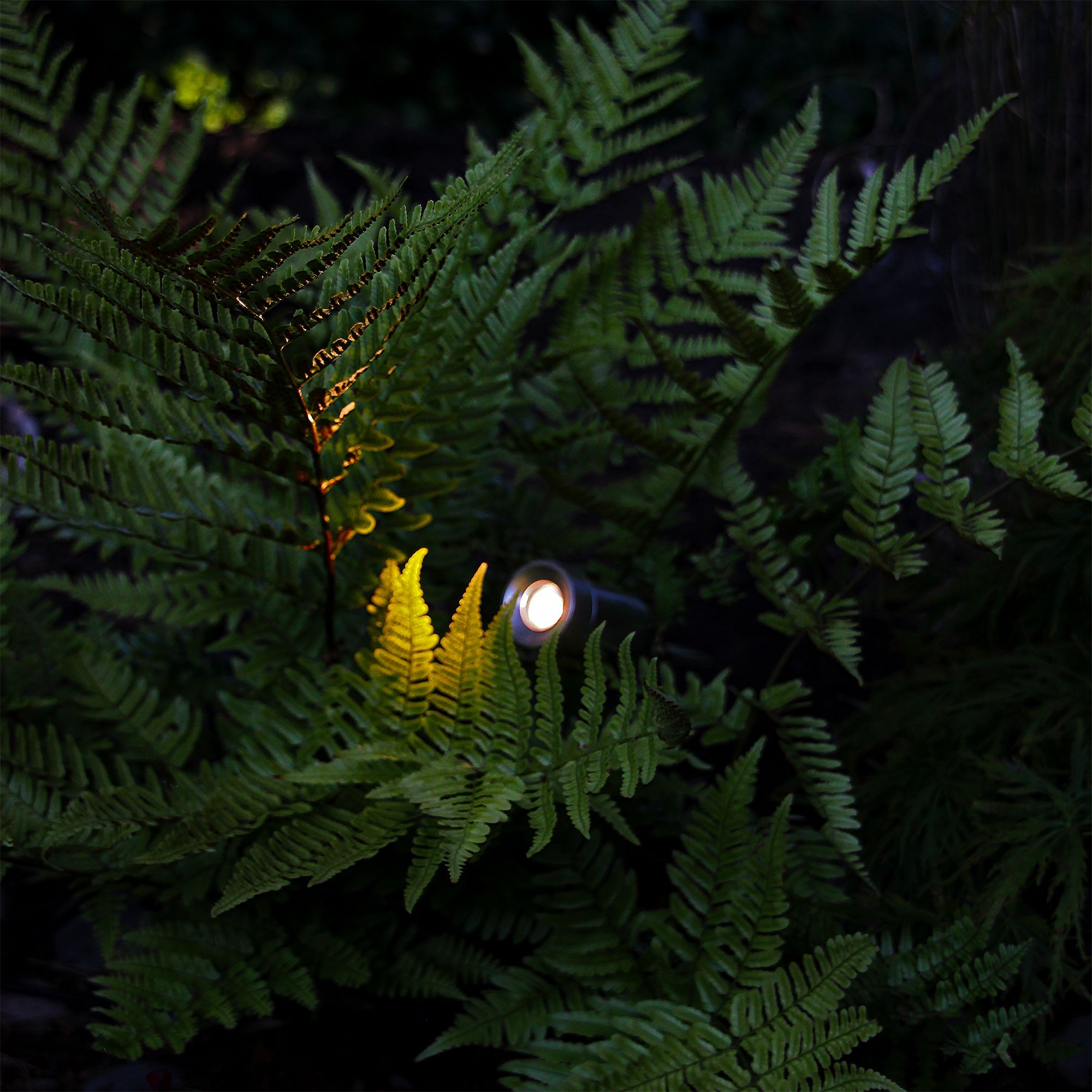 Optica Markspottar LightsOn Garden Plug & Play