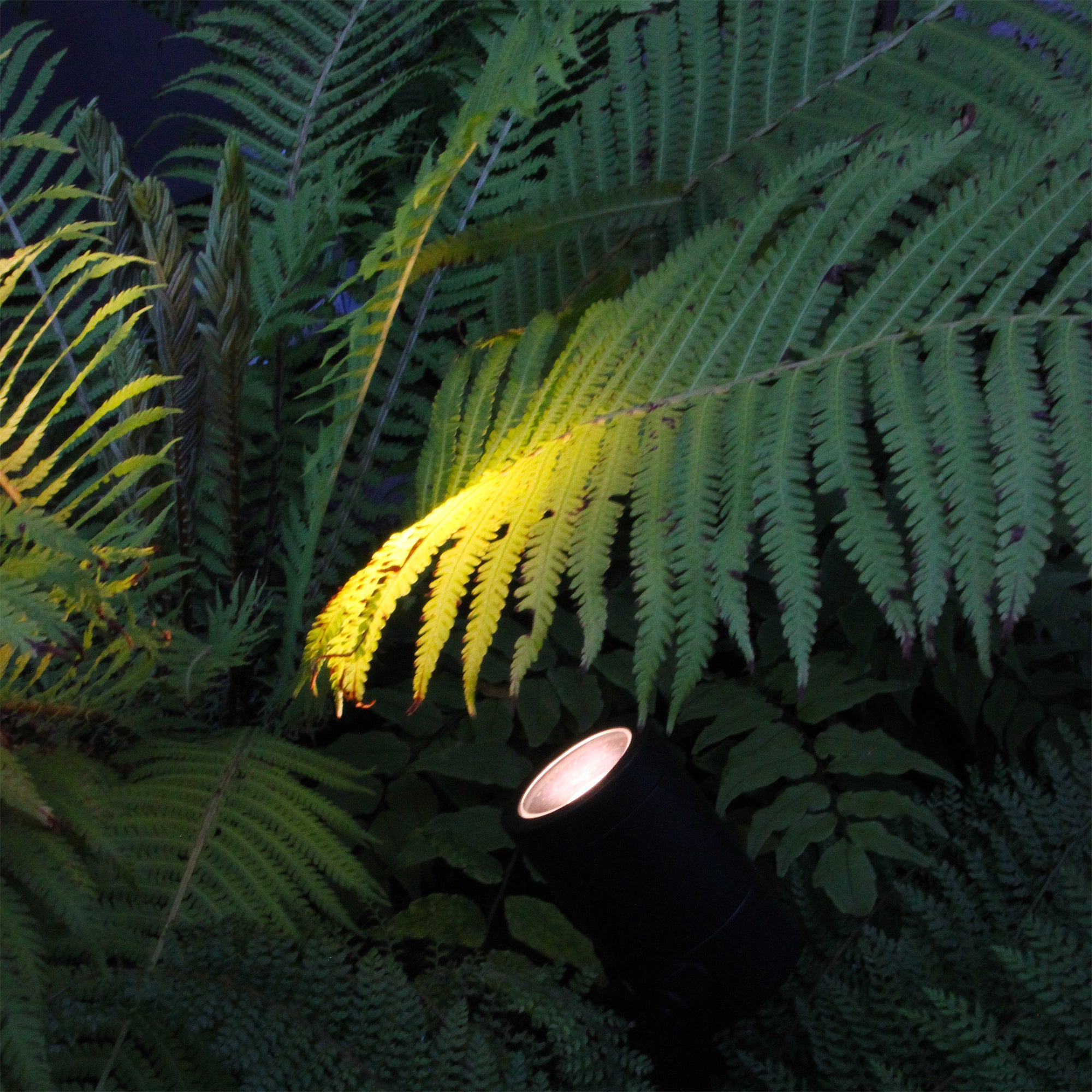 Start pack Markspottar LightsOn Garden Plug & Play