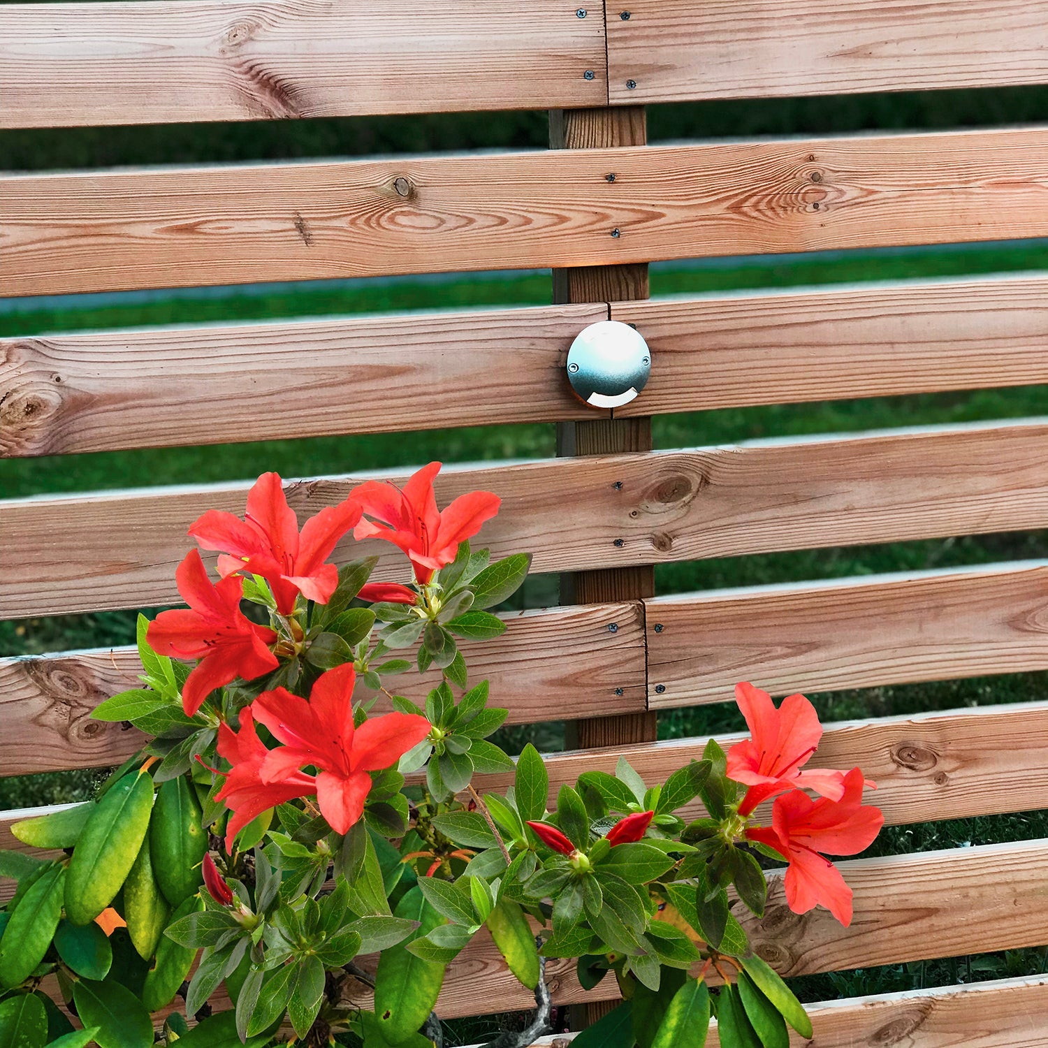 Zenit (silver) Decklights LightsOn Garden Plug & Play