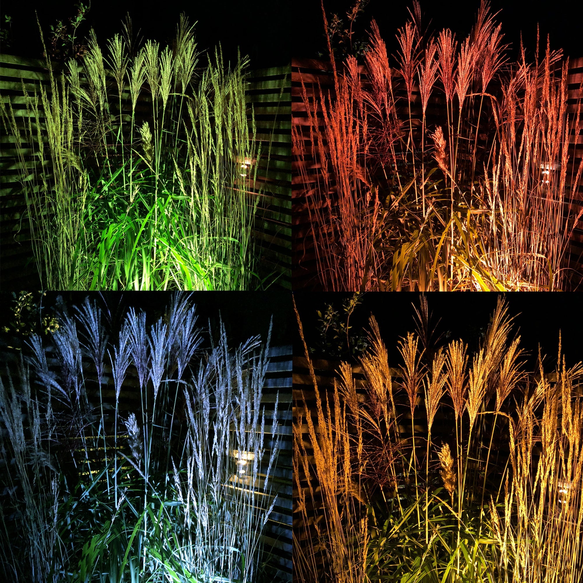 Medusa Markspottar LightsOn Garden Plug & Play