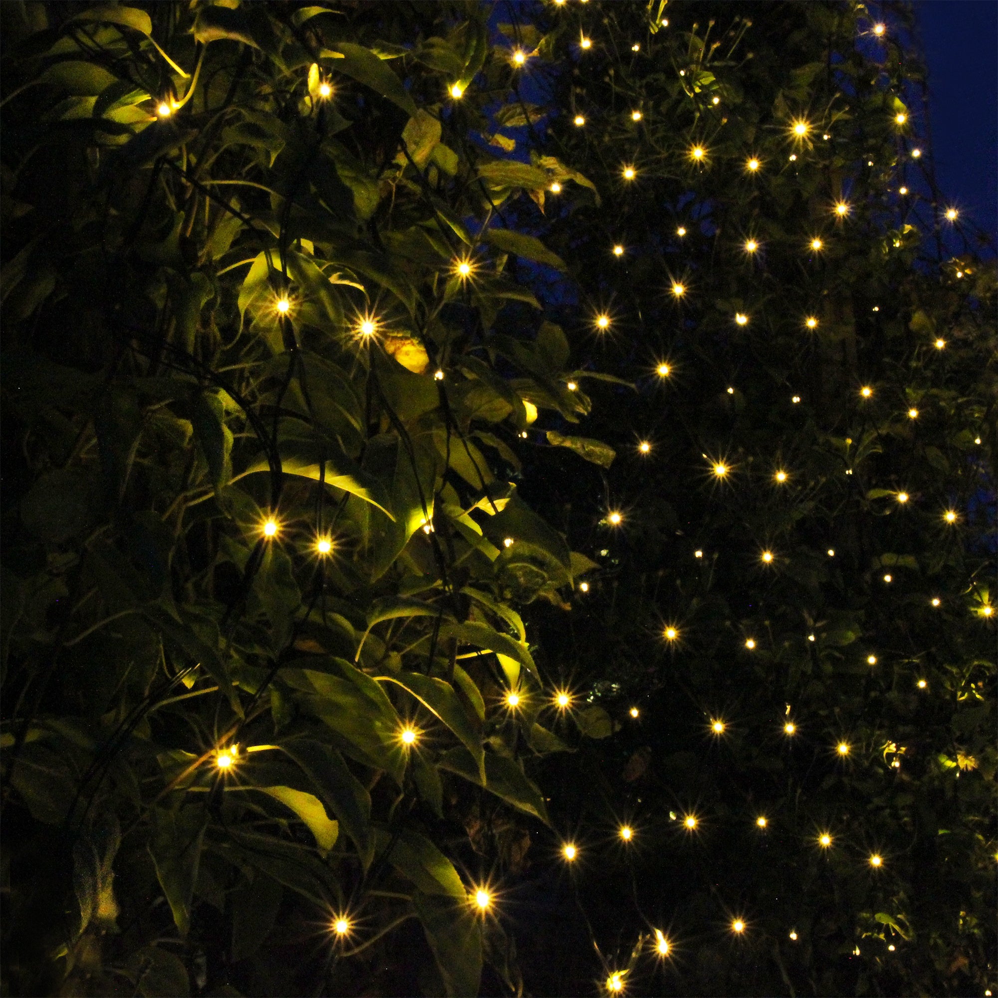 Net Dekorativ belysning LightsOn Garden Plug & Play