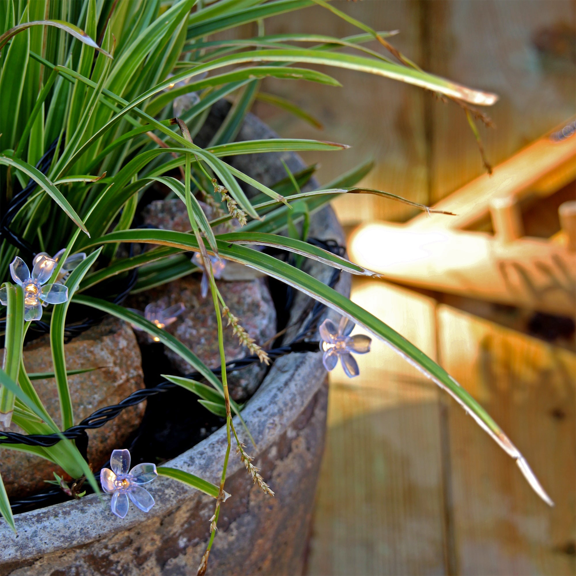 Bloom Dekorativ belysning LightsOn Garden Plug & Play