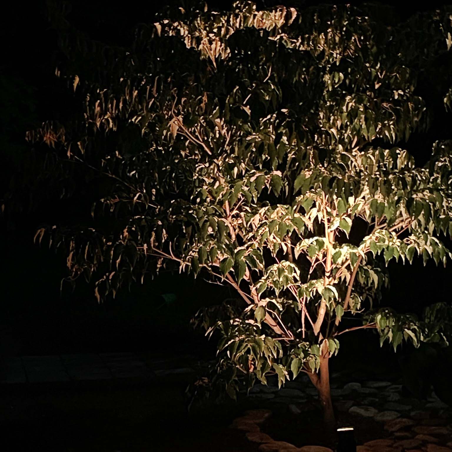 Nova Markspottar LightsOn Garden Plug & Play