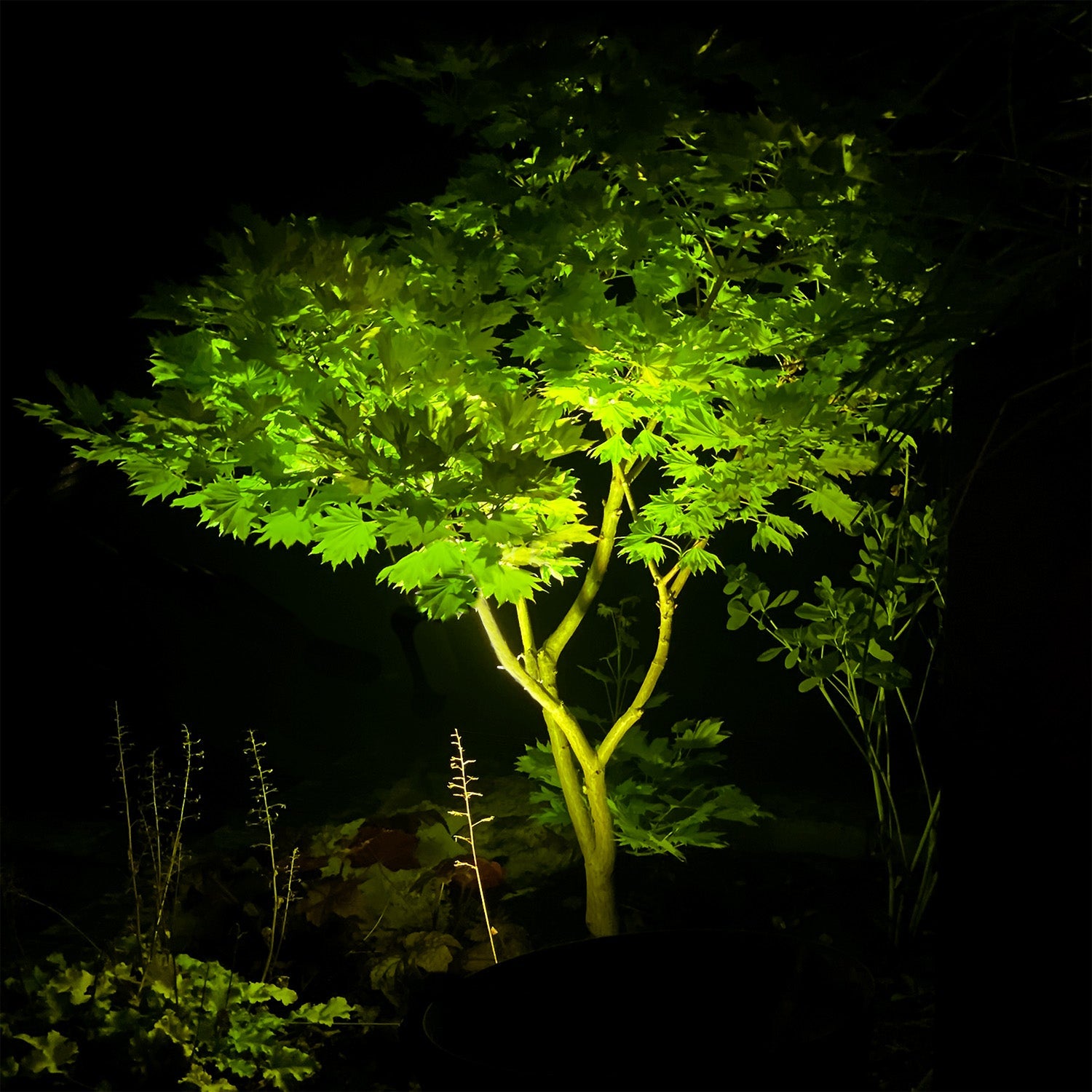 Arcus Markspottar LightsOn Garden Plug & Play