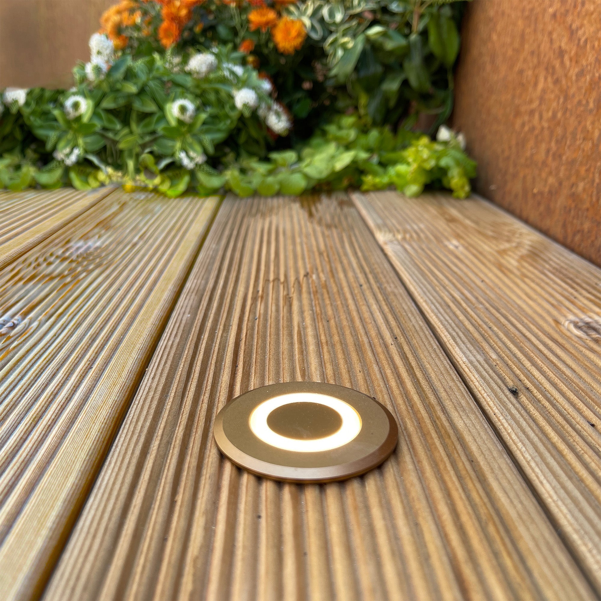 Lynx (brons) LightsOn Garden Plug & Play