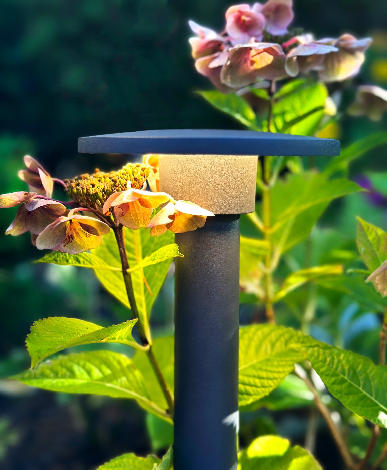 Orbit Pollare LightsOn Garden Plug & Play