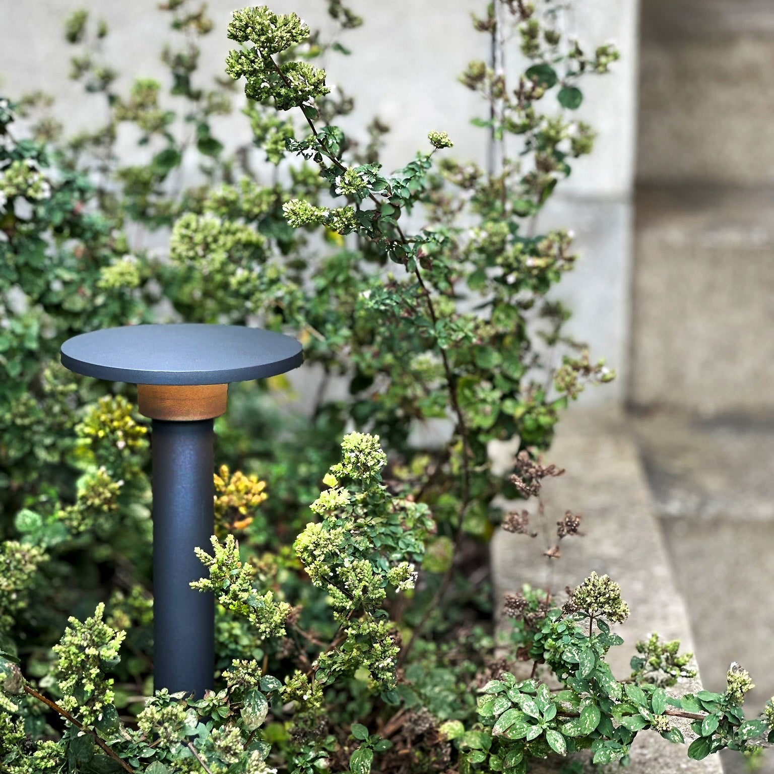 Orbit Pollare LightsOn Garden Plug & Play