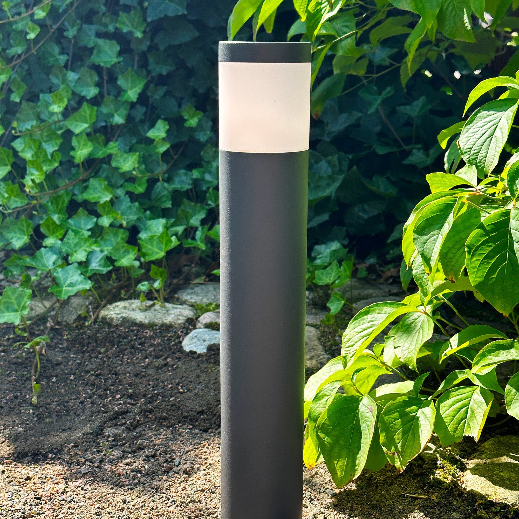 Polly Pollare LightsOn Garden Plug & Play