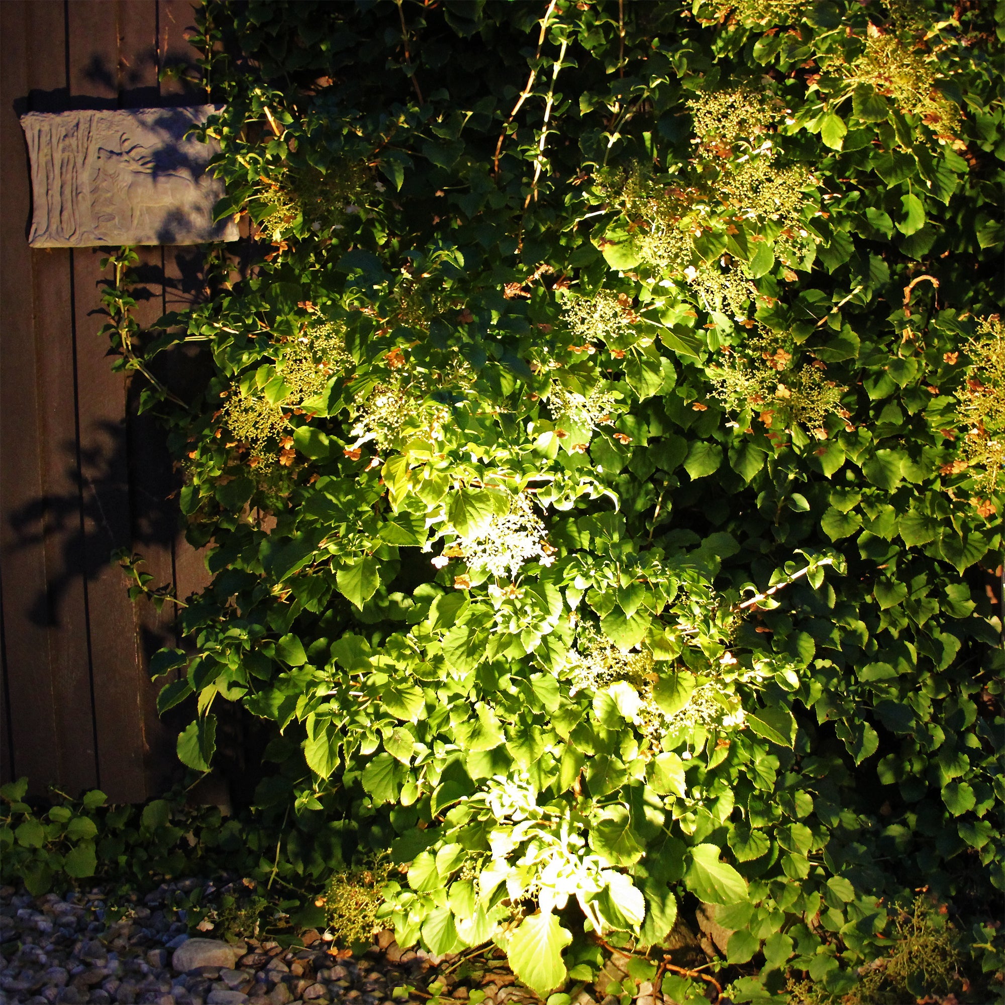 Luna (mörkgrå) Markspottar LightsOn Garden Plug & Play