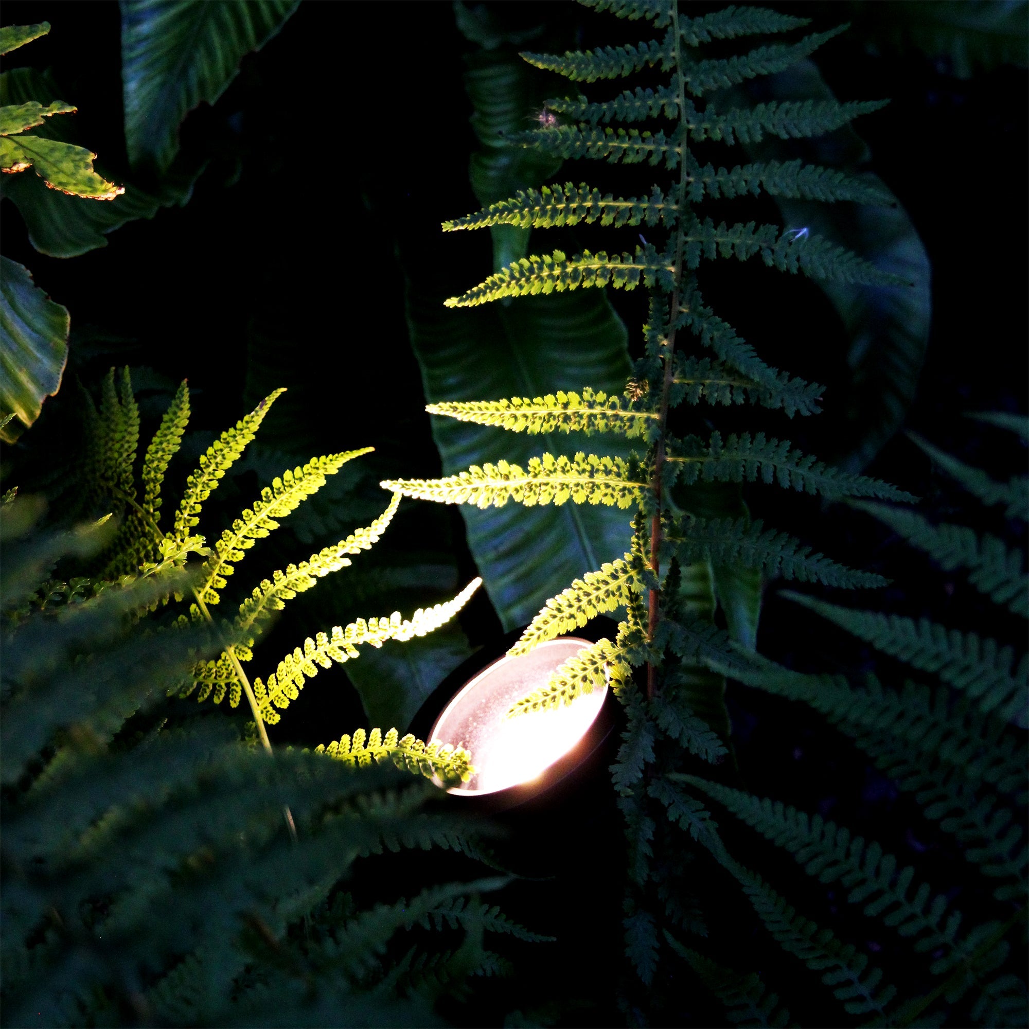 Luna (mörkgrå) Markspottar LightsOn Garden Plug & Play