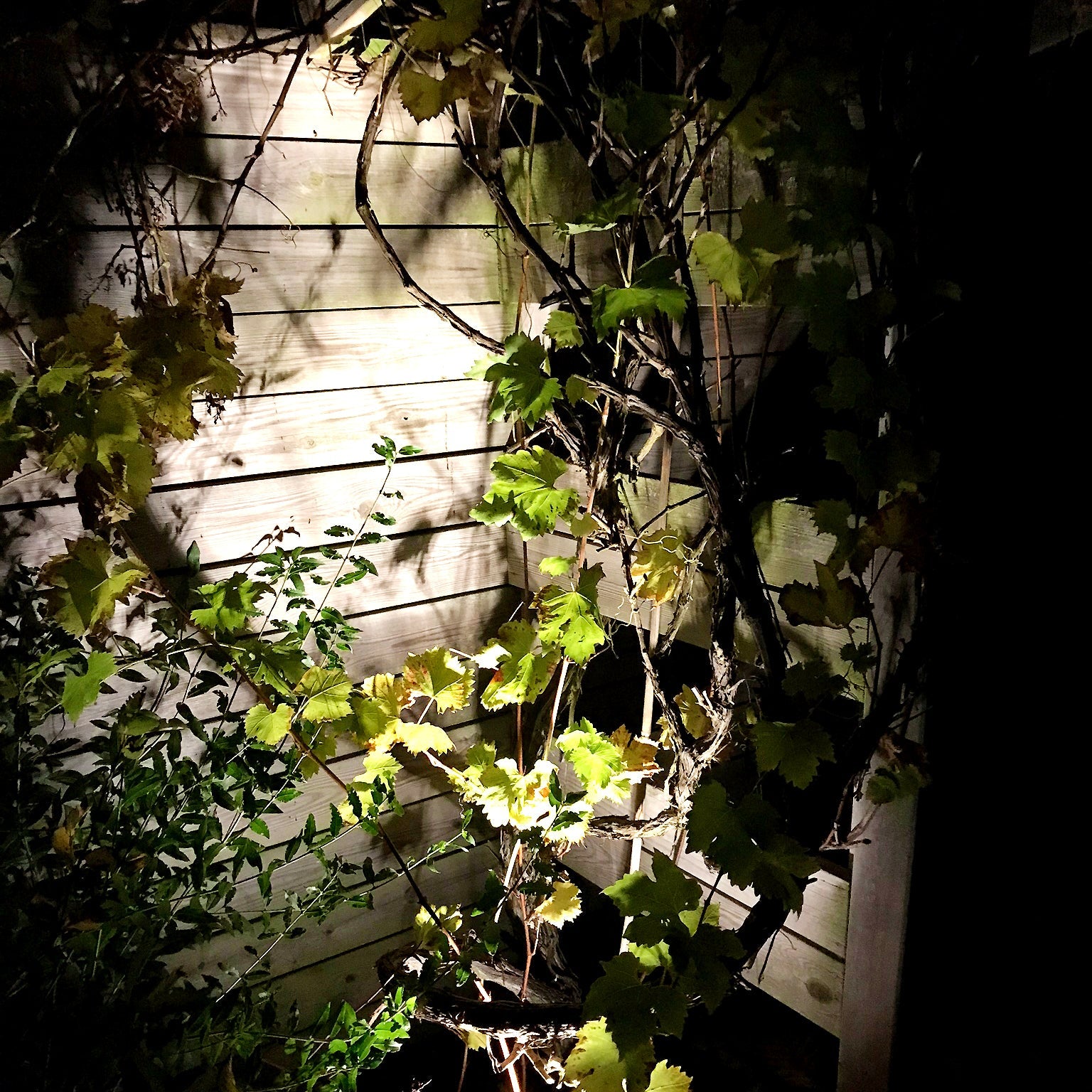 Luna (mörkgrå) Markspottar LightsOn Garden Plug & Play