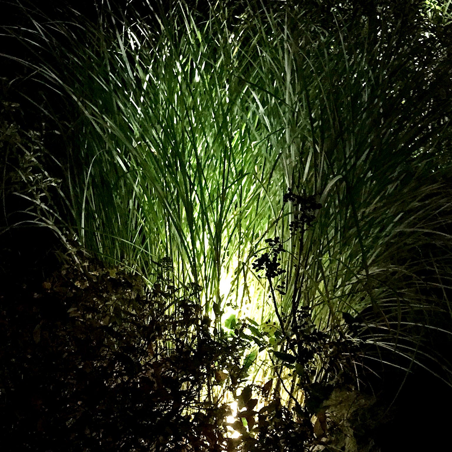 Luna Start (mörkgrå) Markspottar LightsOn Garden Plug & Play