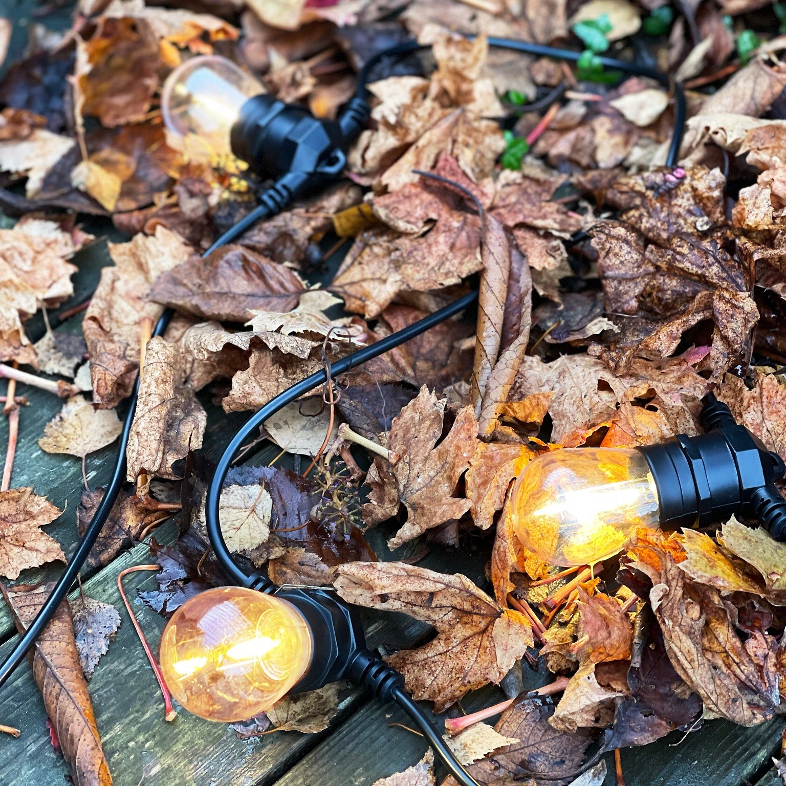 Cosy Start Dekorativ belysning LightsOn Garden Plug & Play