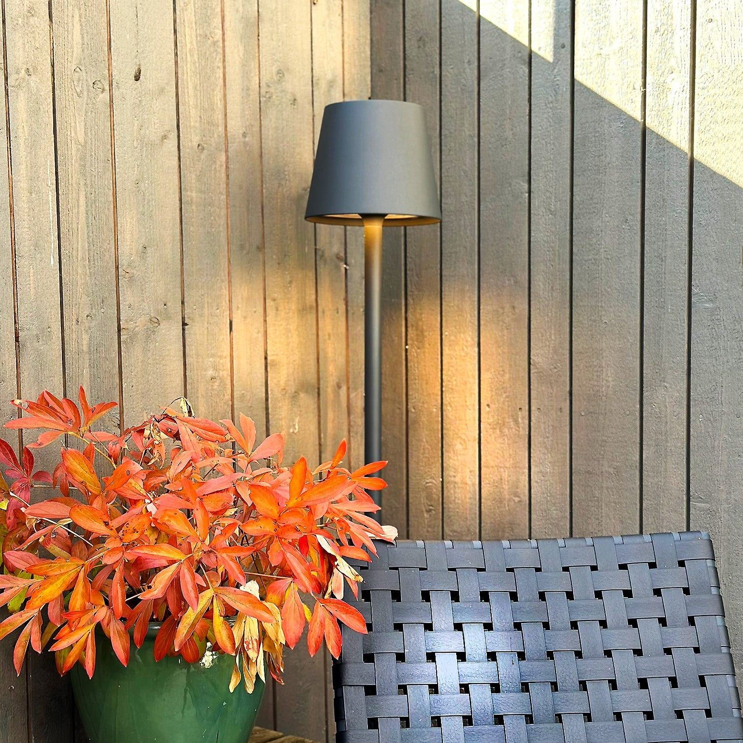 Sofy Dekorativ belysning LightsOn Garden Plug & Play