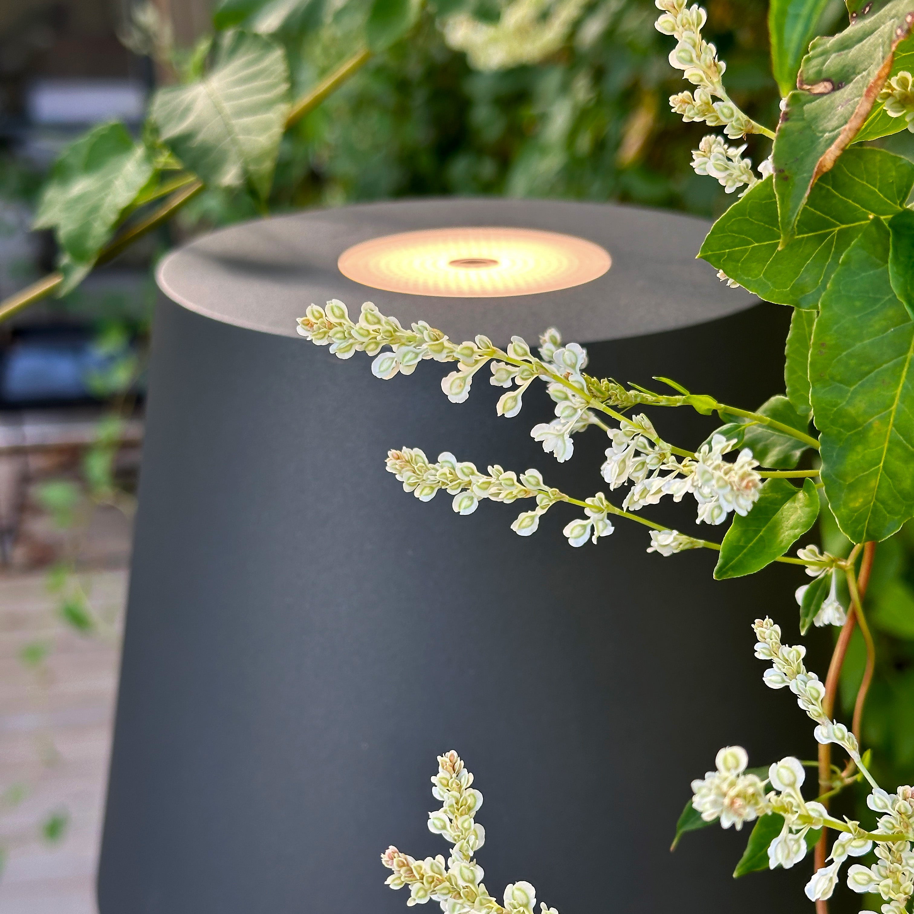 Sofy Dekorativ belysning LightsOn Garden Plug & Play