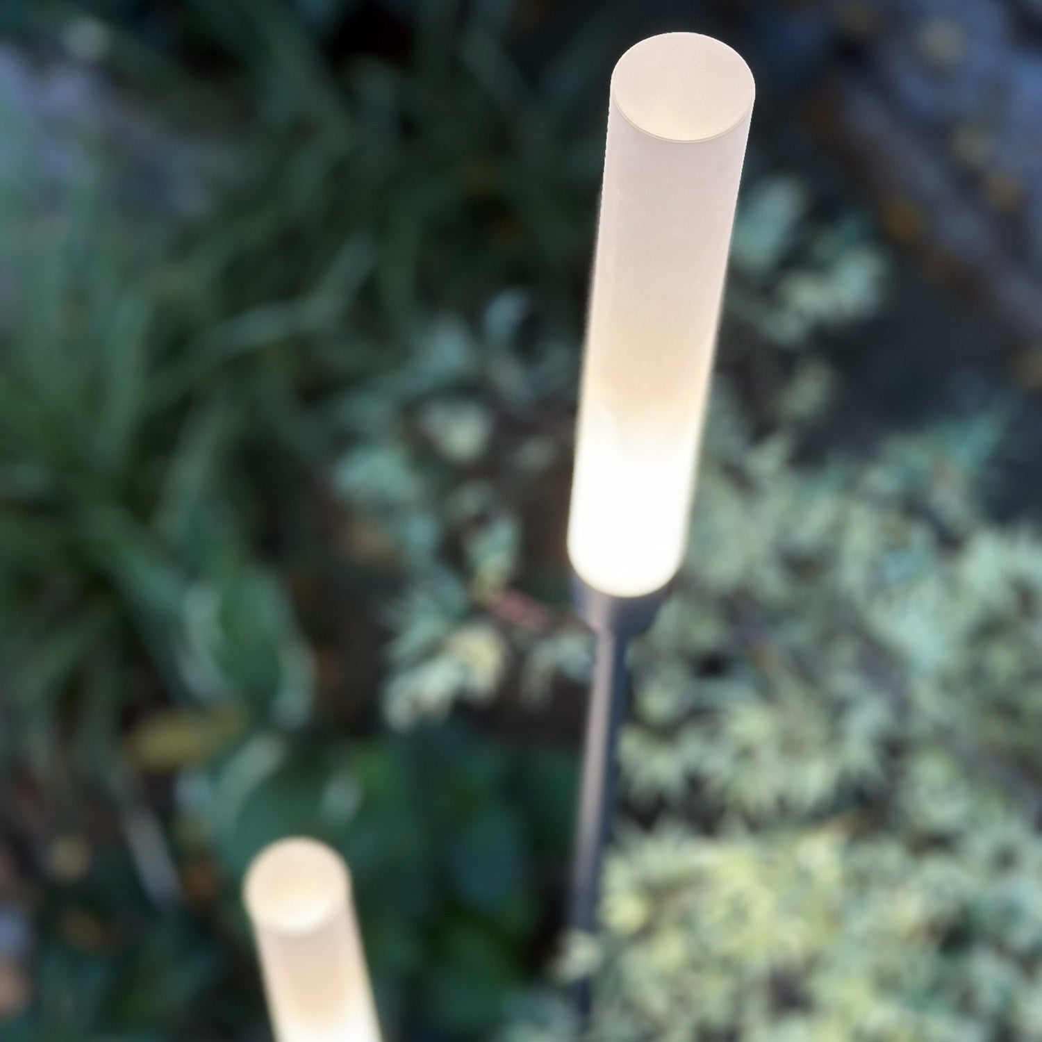 Frost Pollare LightsOn Garden Plug & Play