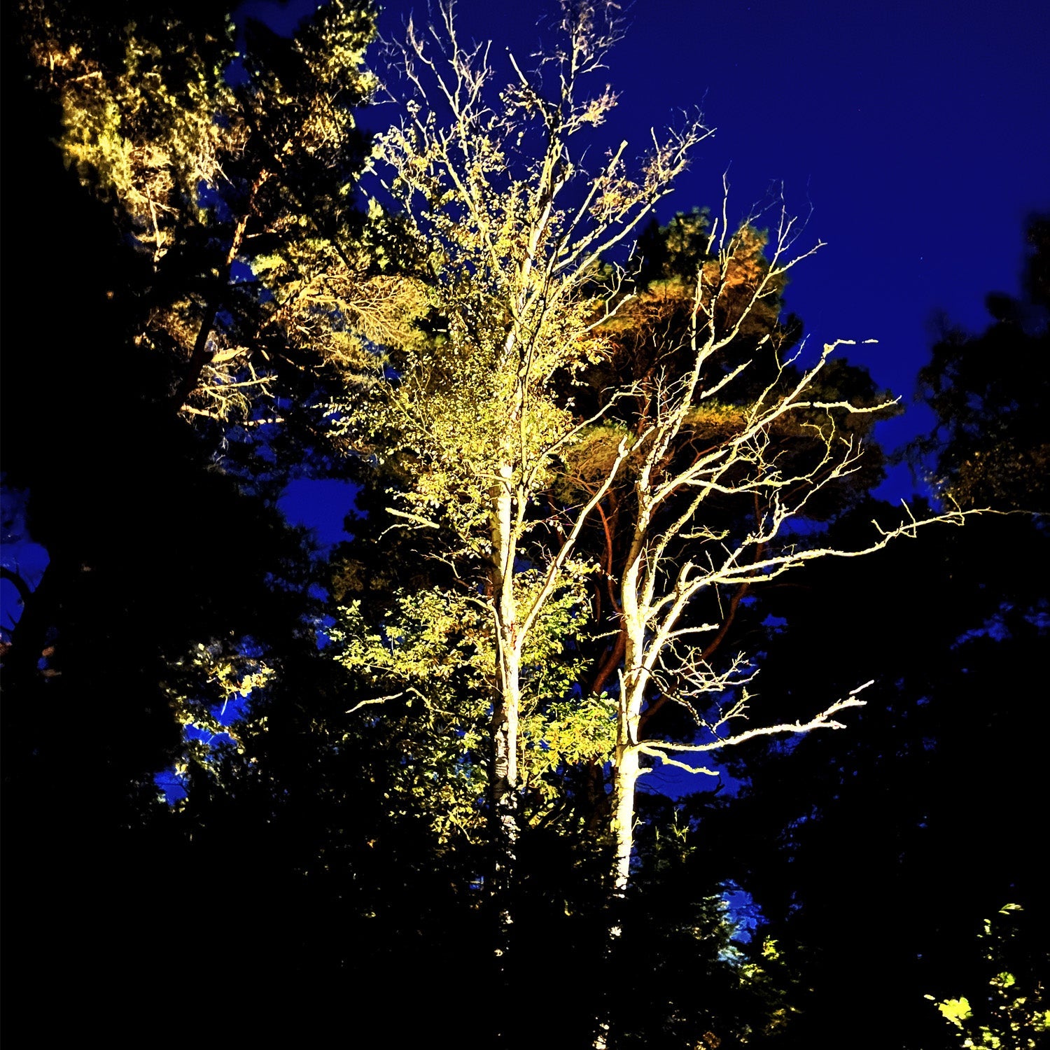 Cosmo Markspottar LightsOn Garden Plug & Play